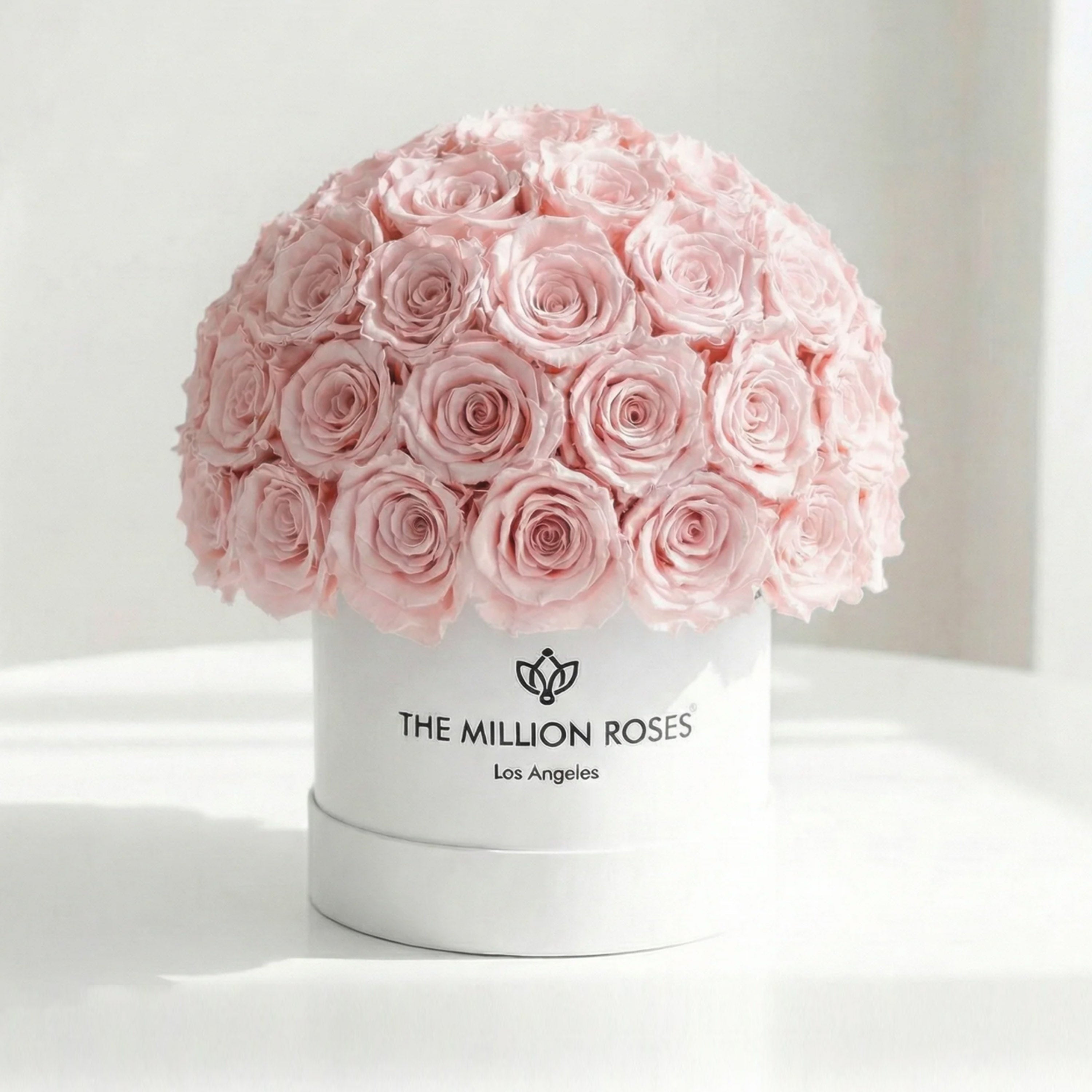 Classic White Superdome Box | Light Pink Roses