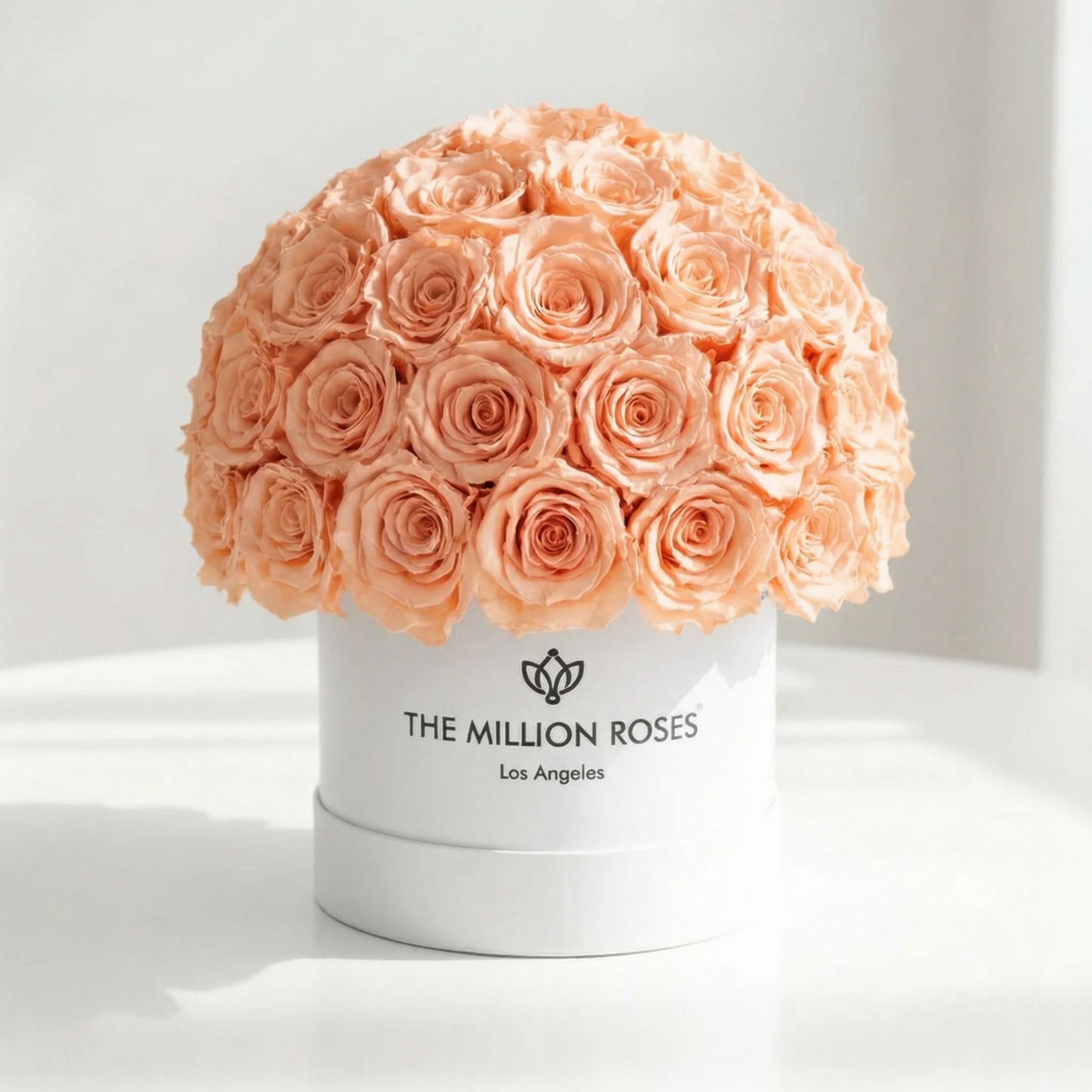 Classic White Superdome Box | Peach Roses