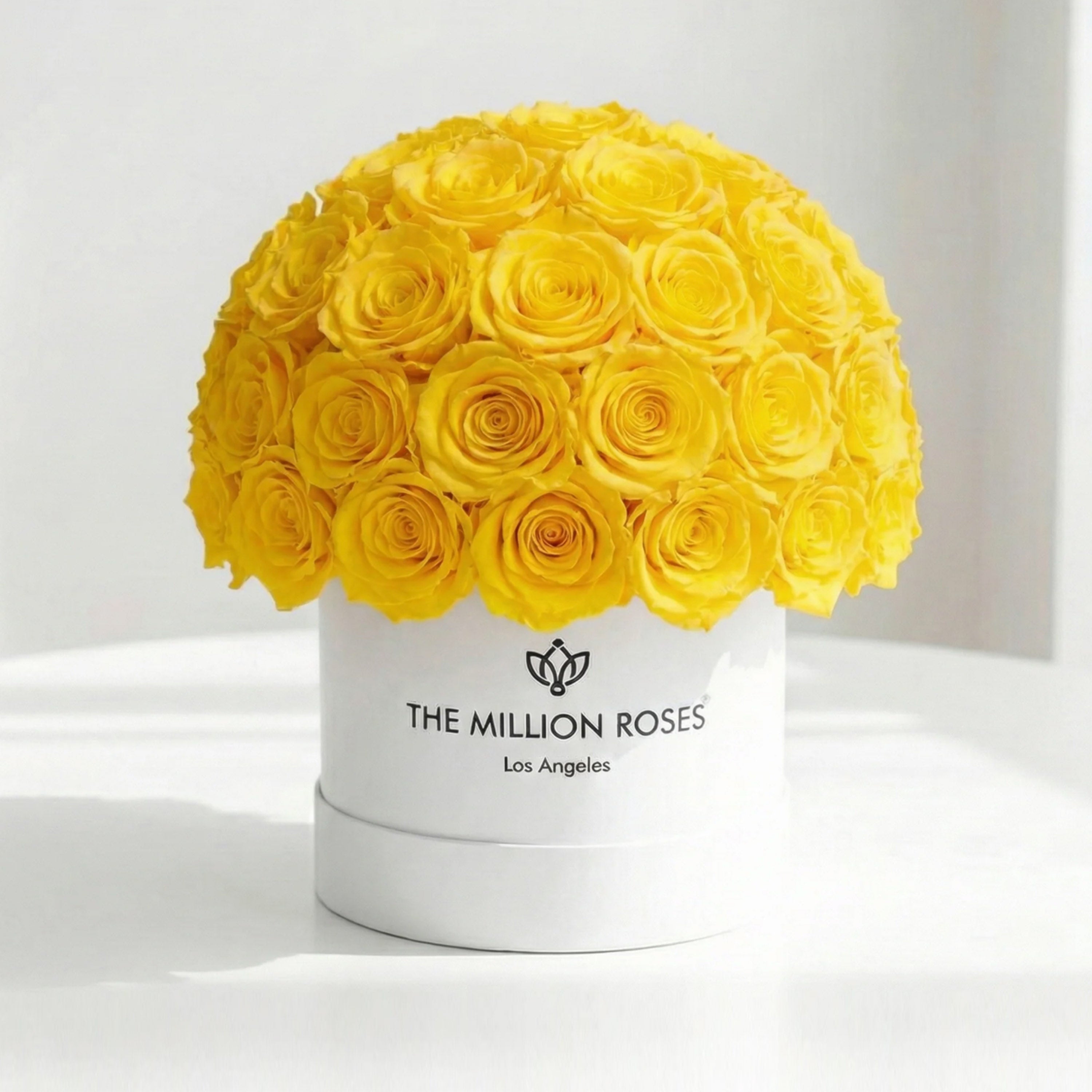Classic White Superdome Box | Yellow Roses