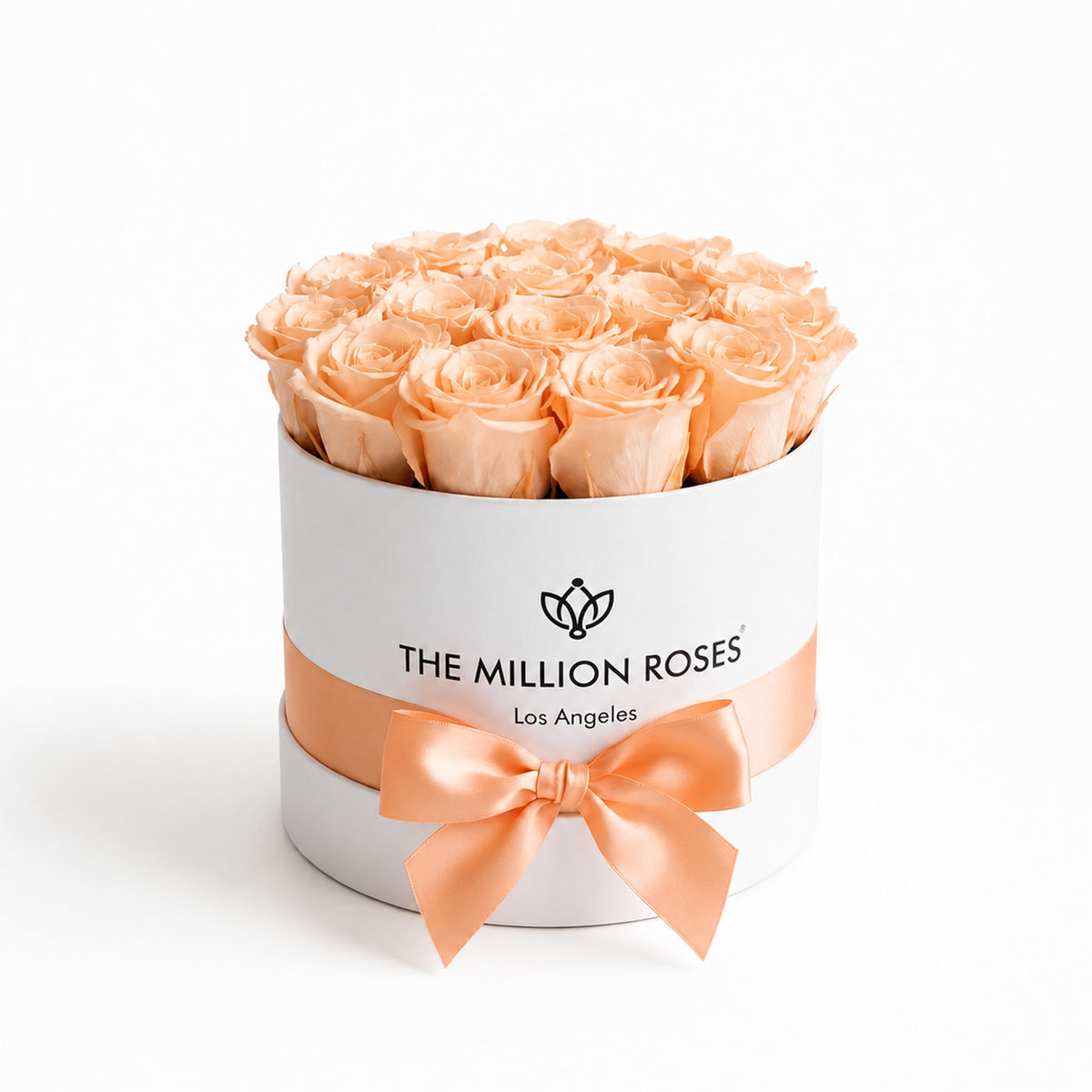 Classic White Box | Peach Roses