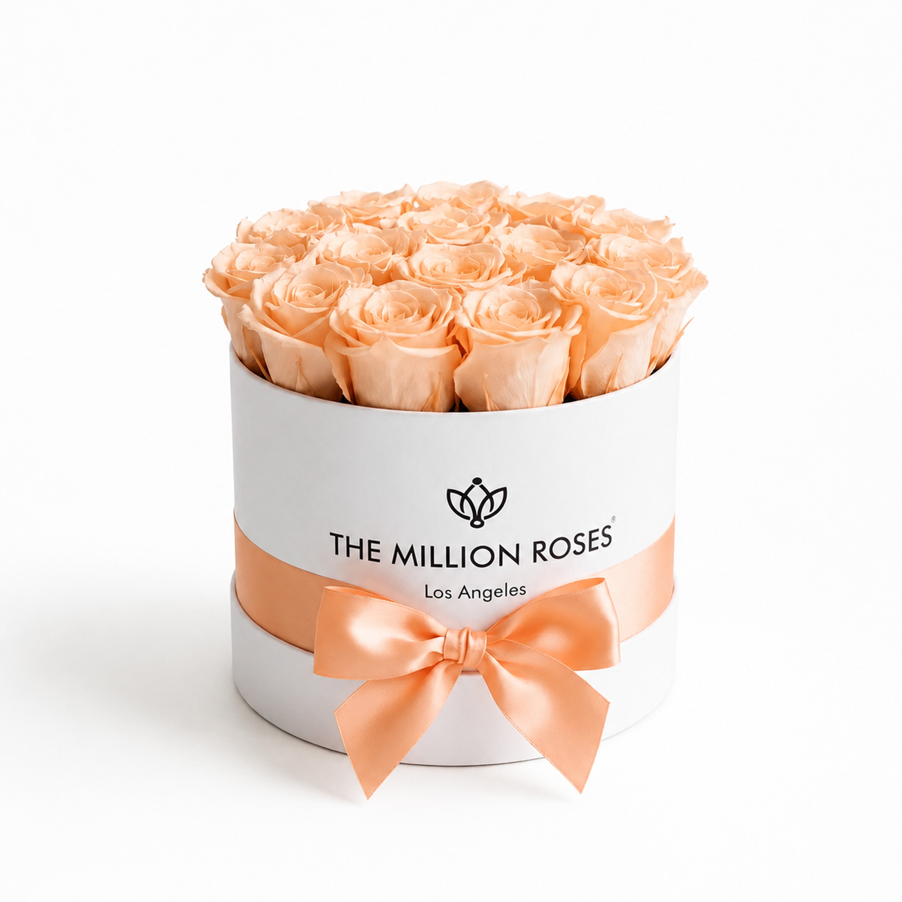 Classic White Box | Peach Roses