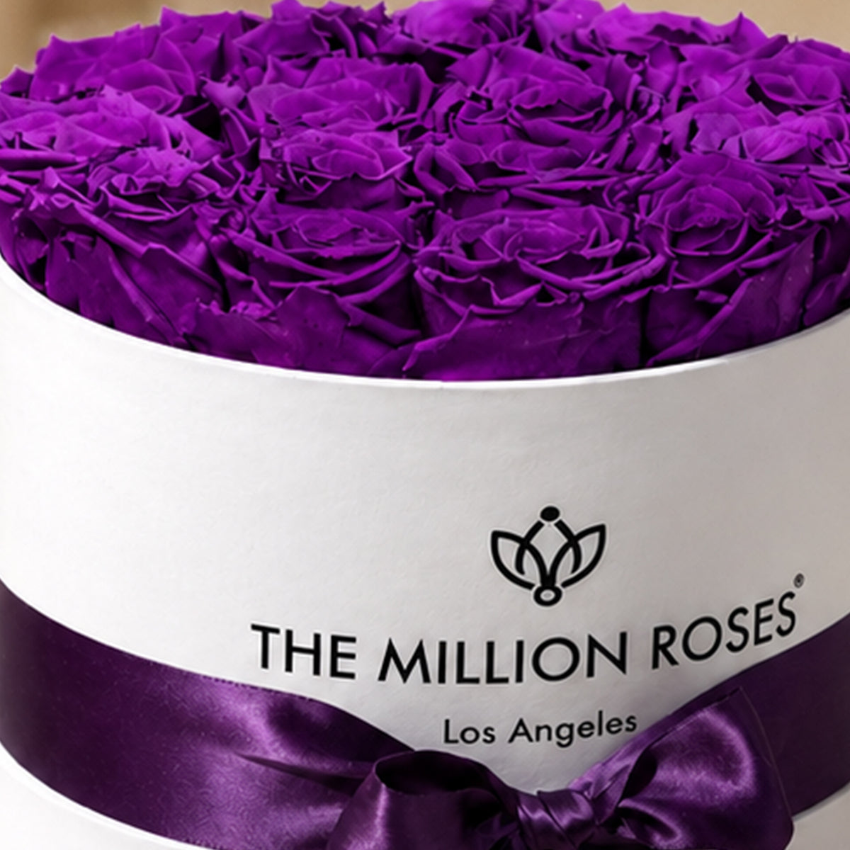 Purple Roses - Preserved & Forever Roses in a Box | The Million Roses®