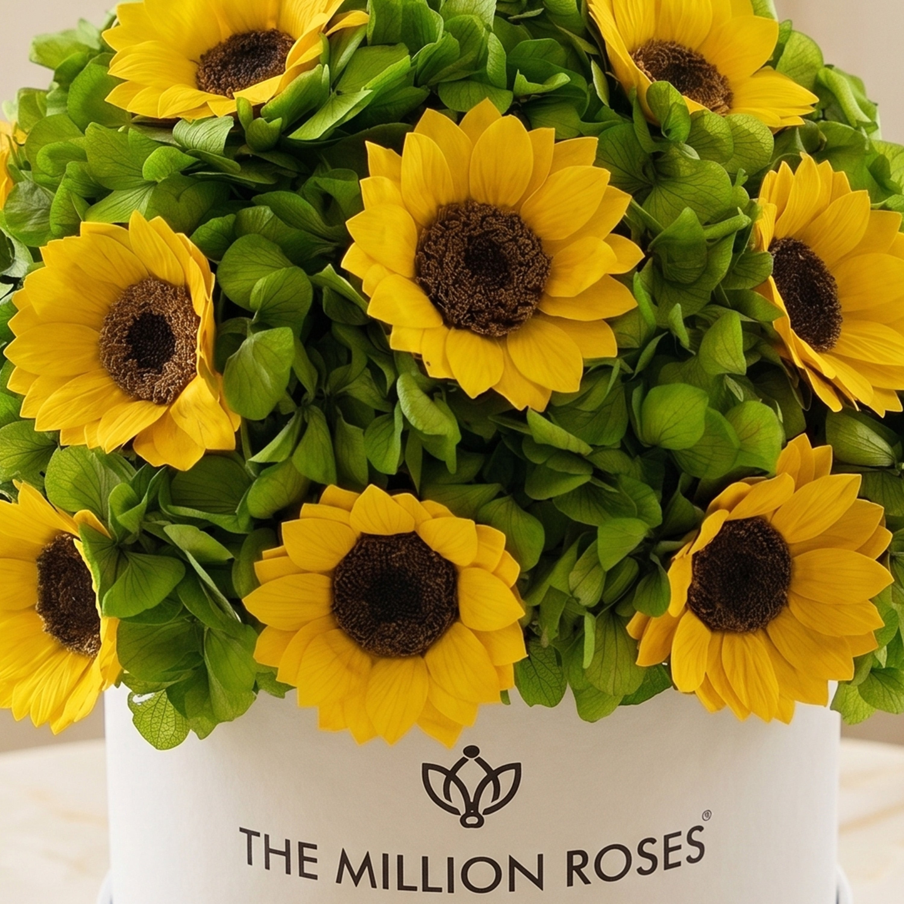 Classic White Box | Green Hydrangeas & Sunflowers