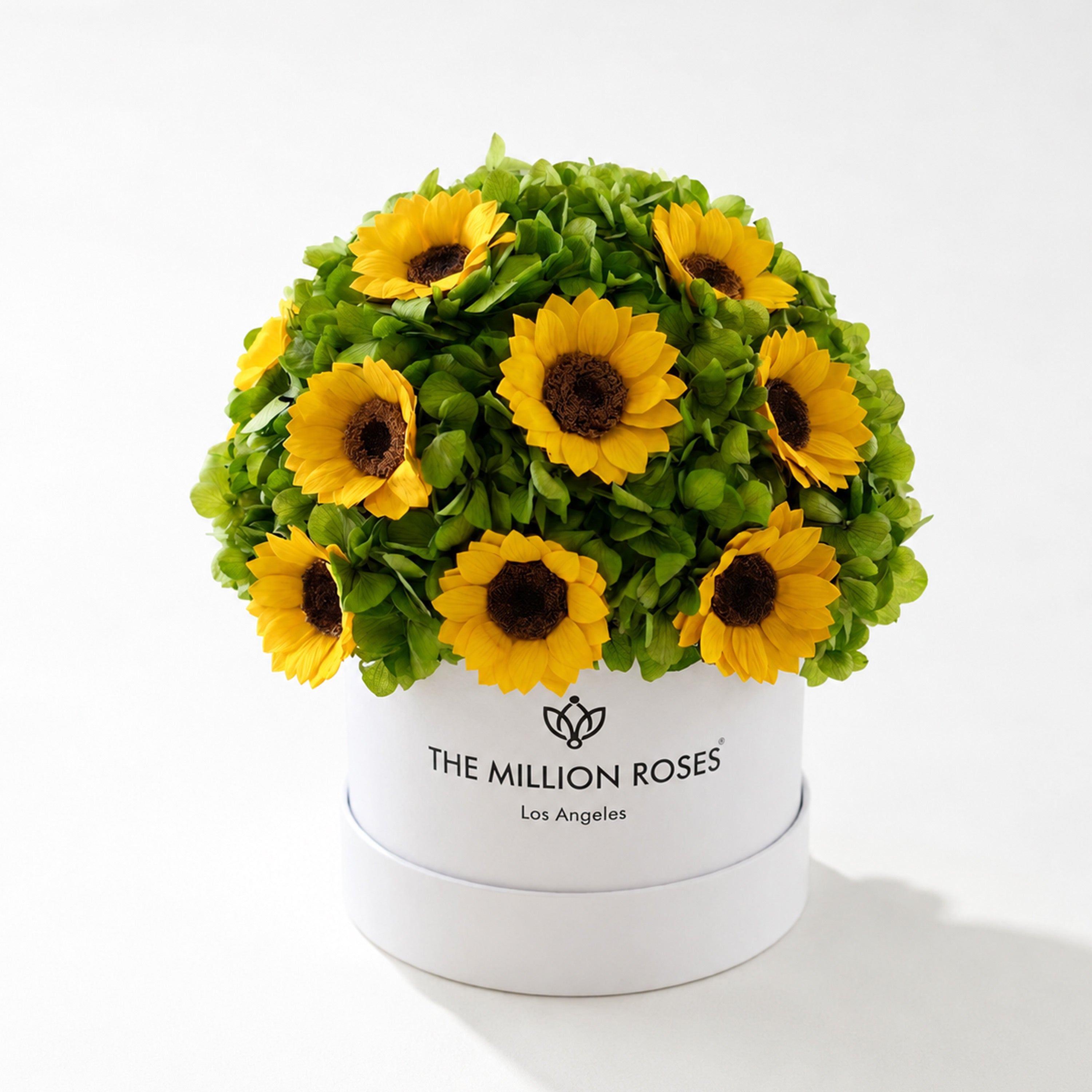 classic_white_box_sunflowers_1