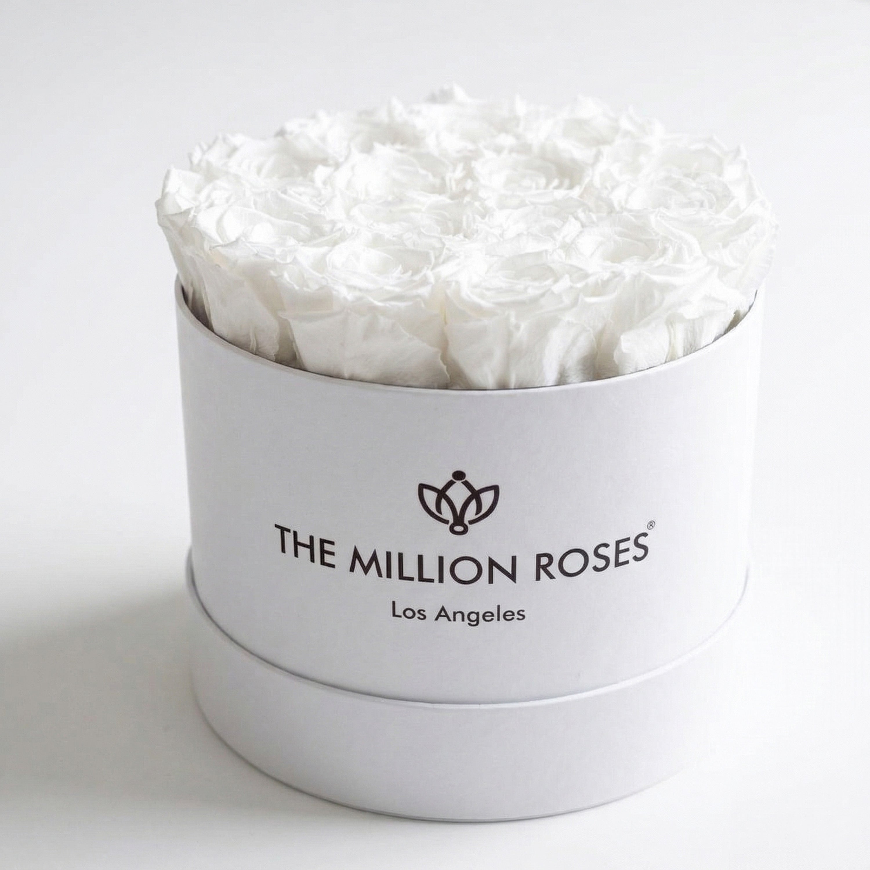 Classic White Box | White Roses