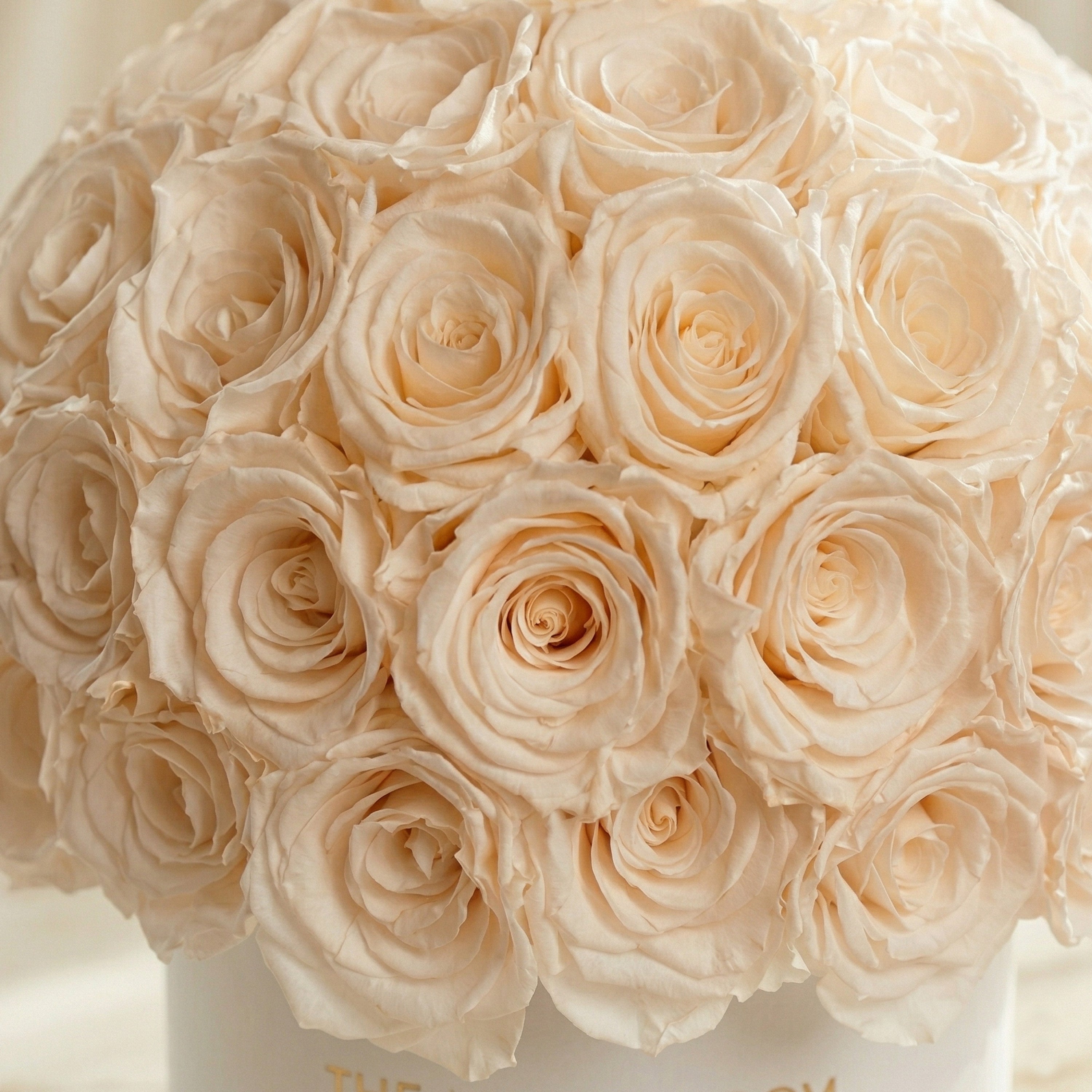Classic White Superdome Box | White Roses