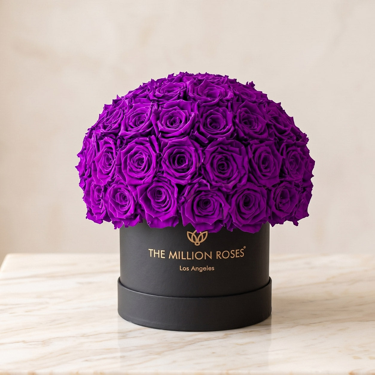 Classic Black Superdome Box | Bright Purple Roses