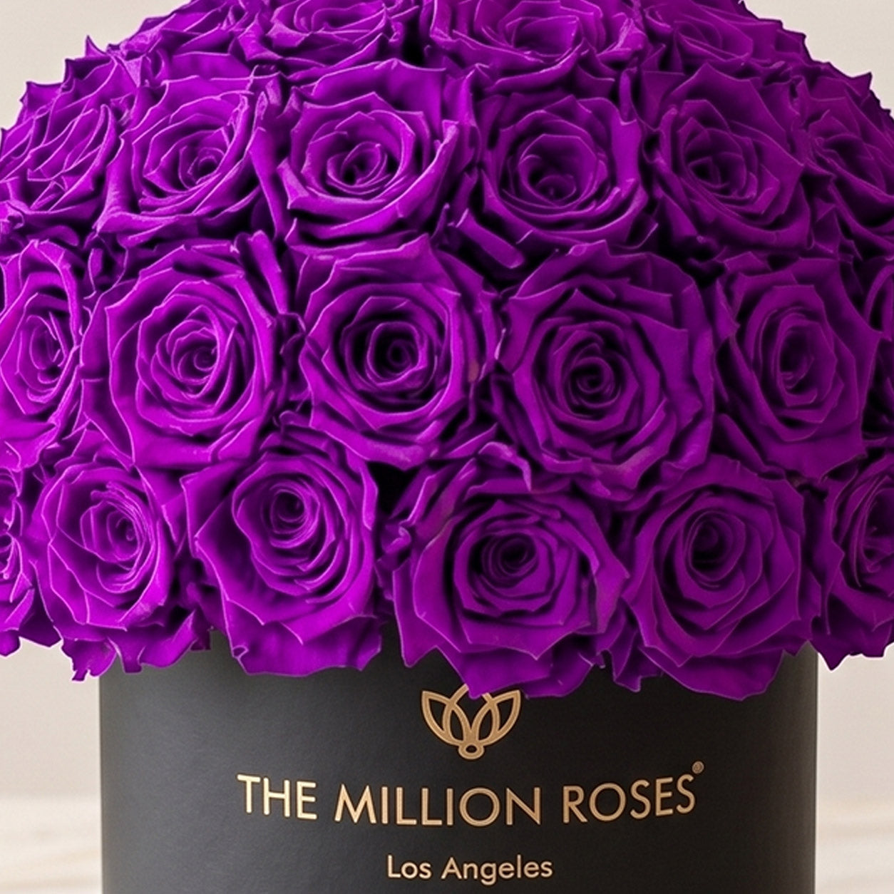 Classic Black Superdome Box | Bright Purple Roses