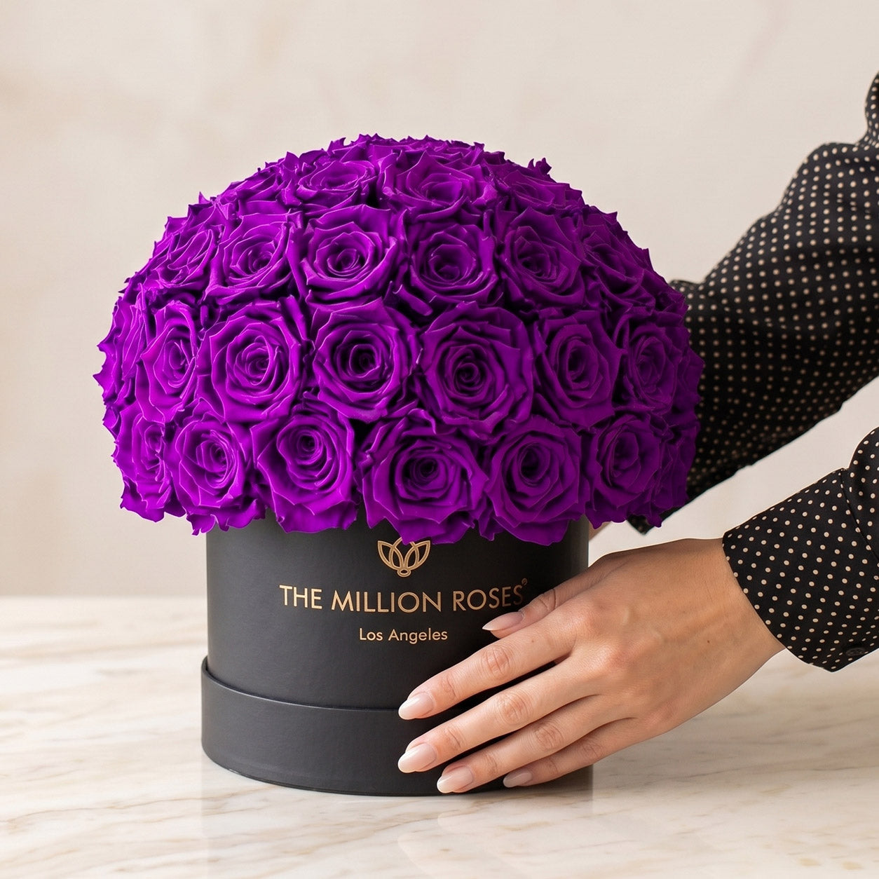 Classic Black Superdome Box | Bright Purple Roses