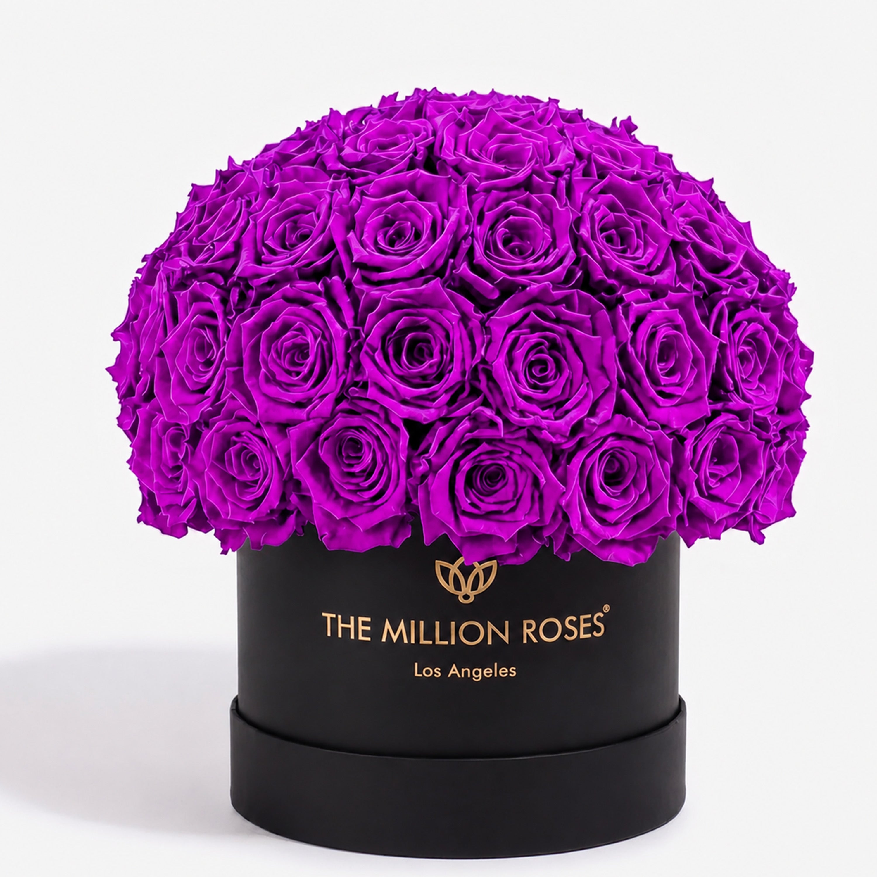 Classic Black Superdome Box | Bright Purple Roses