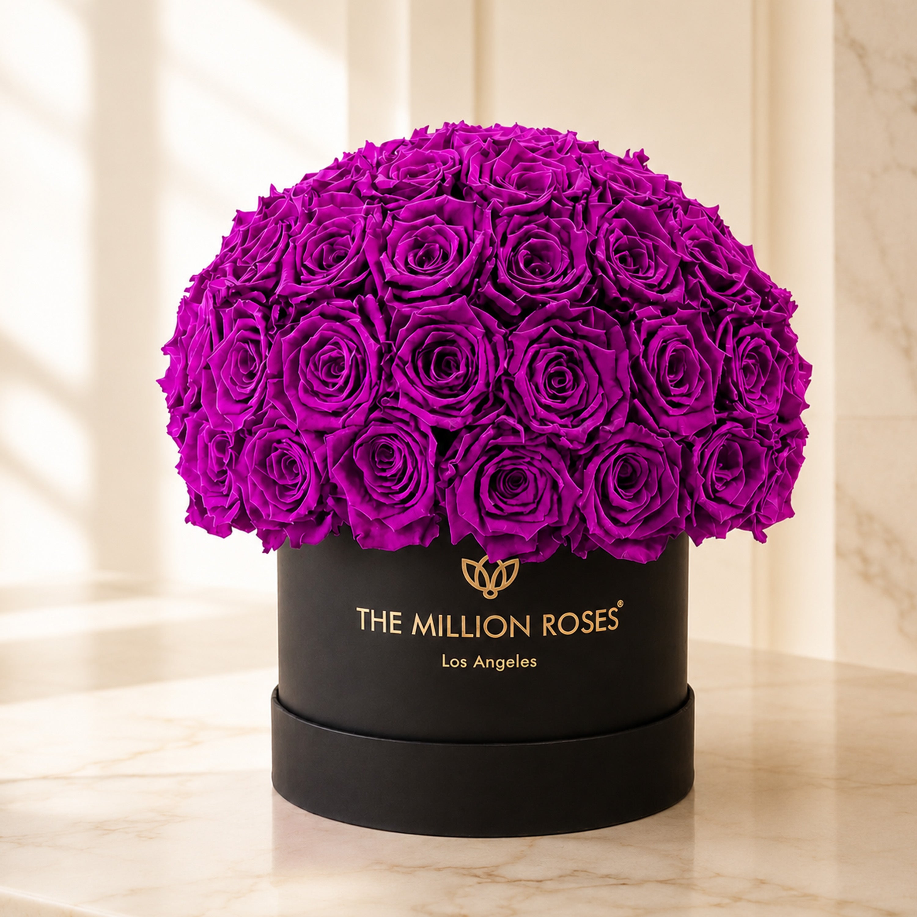 Classic Black Superdome Box | Bright Purple Roses