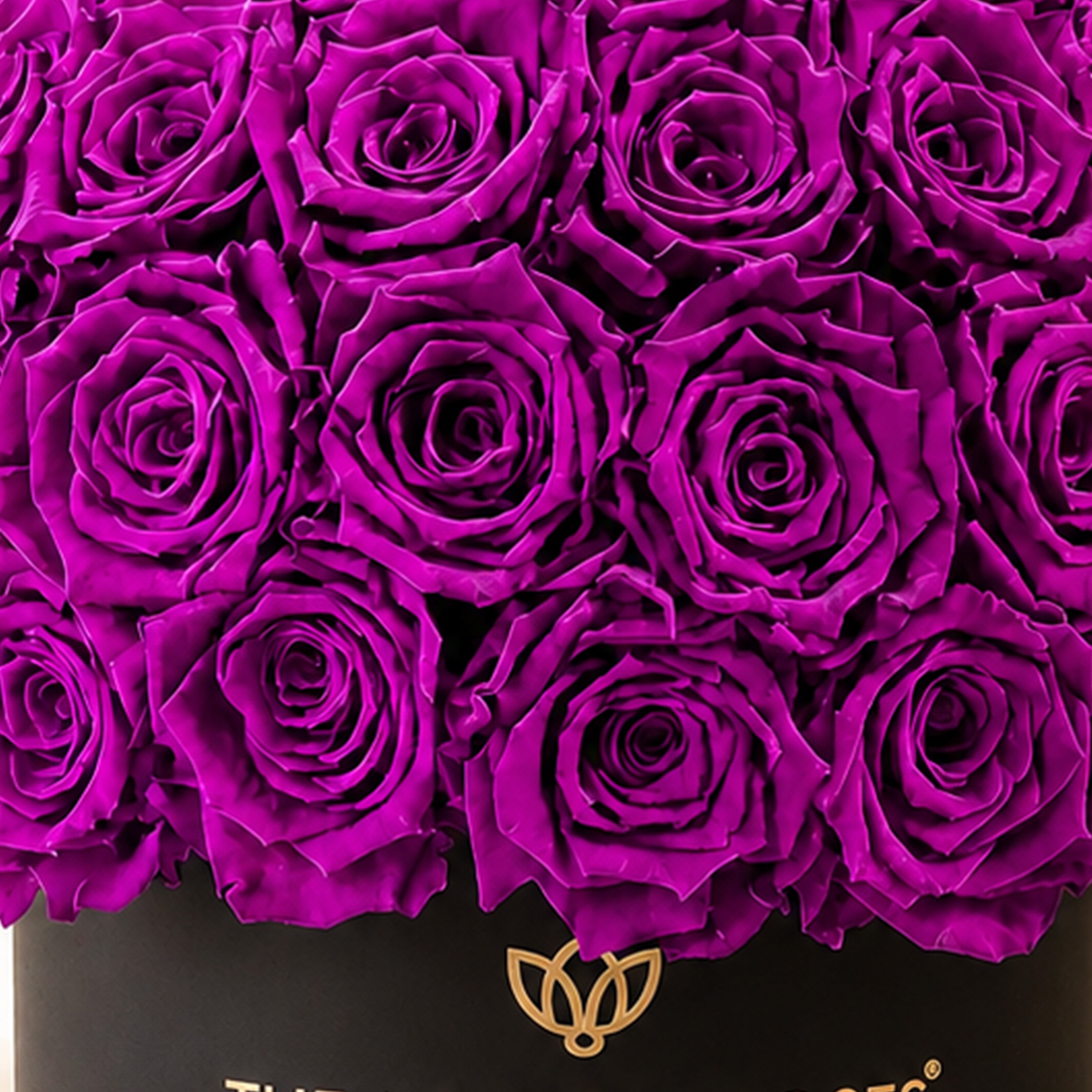 Classic Black Superdome Box | Bright Purple Roses