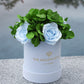 Basic Light Blue Suede Garden Box | Light Blue Roses