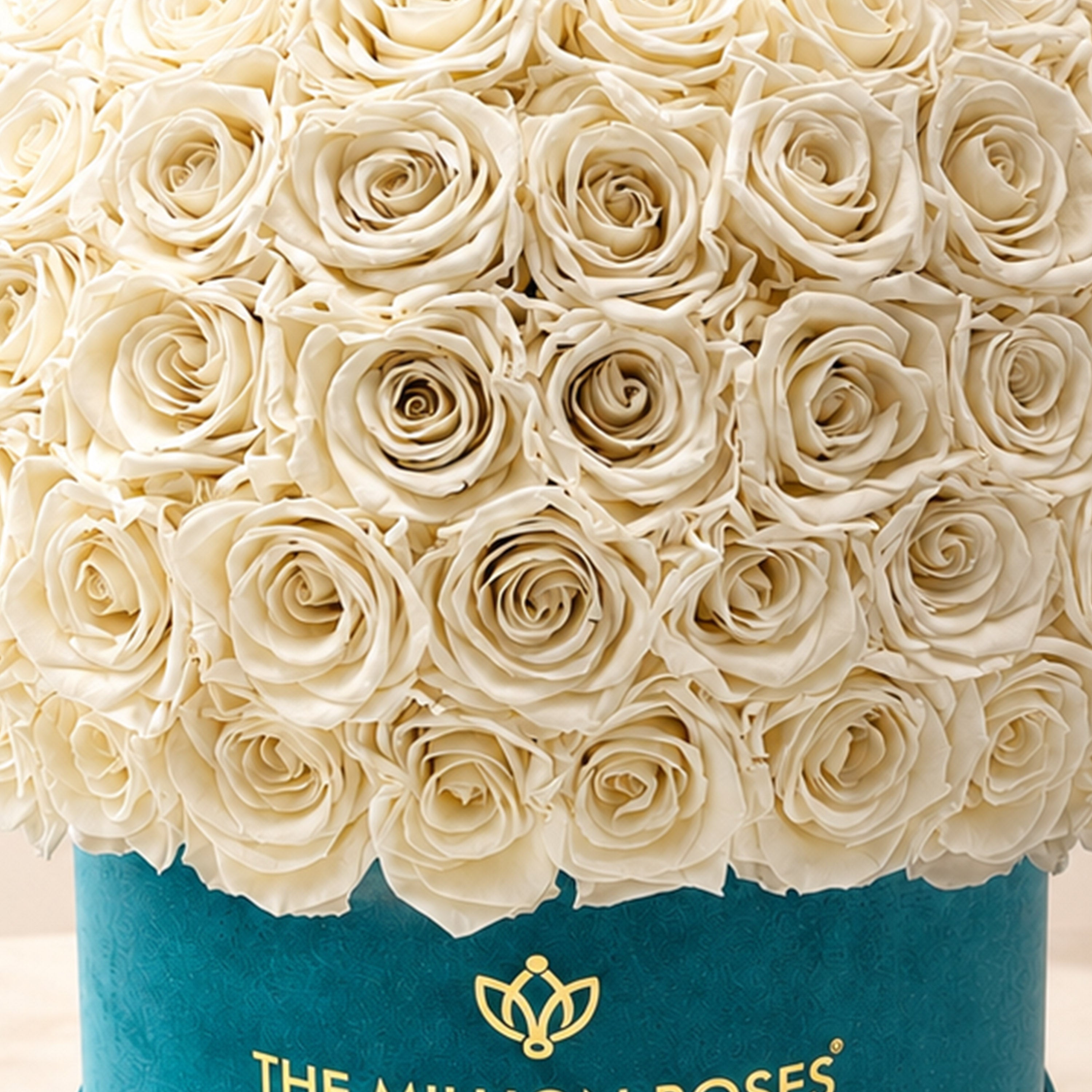 Supreme Dark Green Suede Superdome Box | White Roses