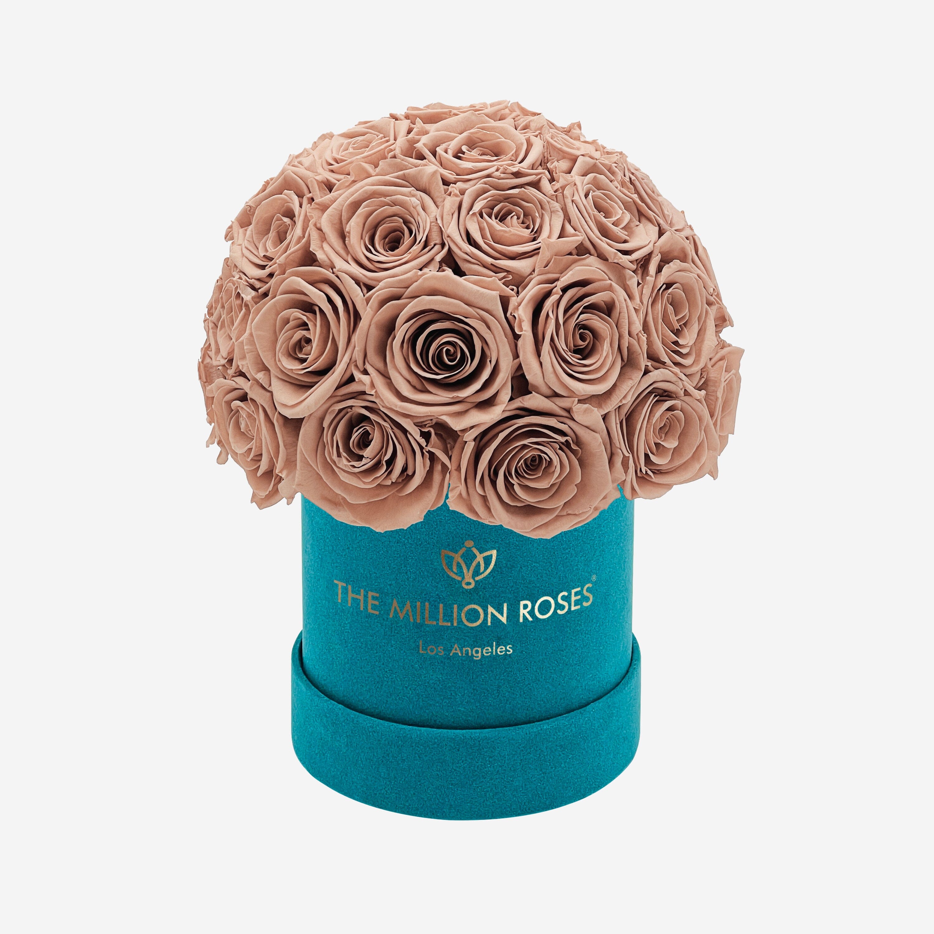 Boîte Superdome Basic Daim Vert Foncé | Roses Nude