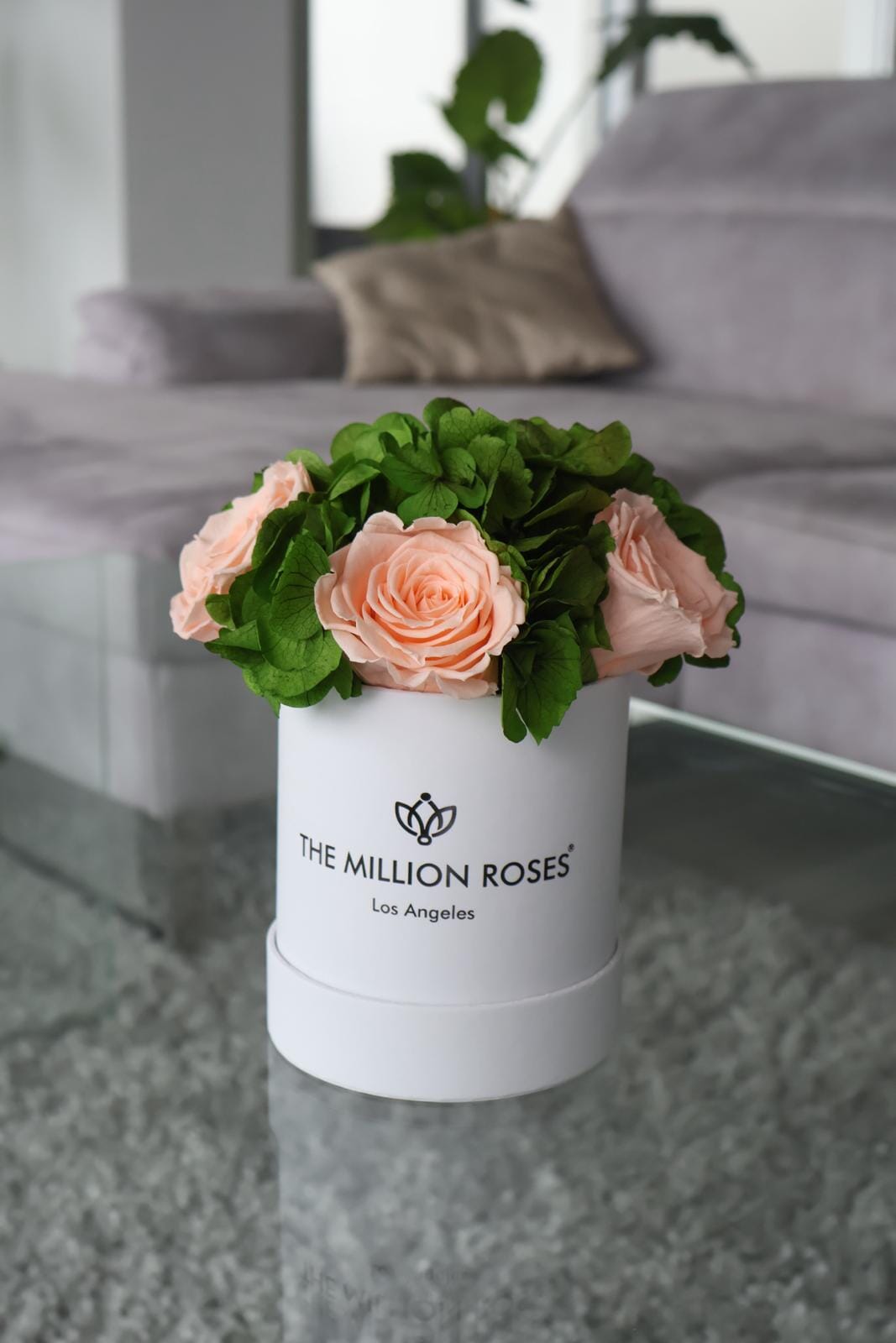 Basic White Garden Box | Peach Roses