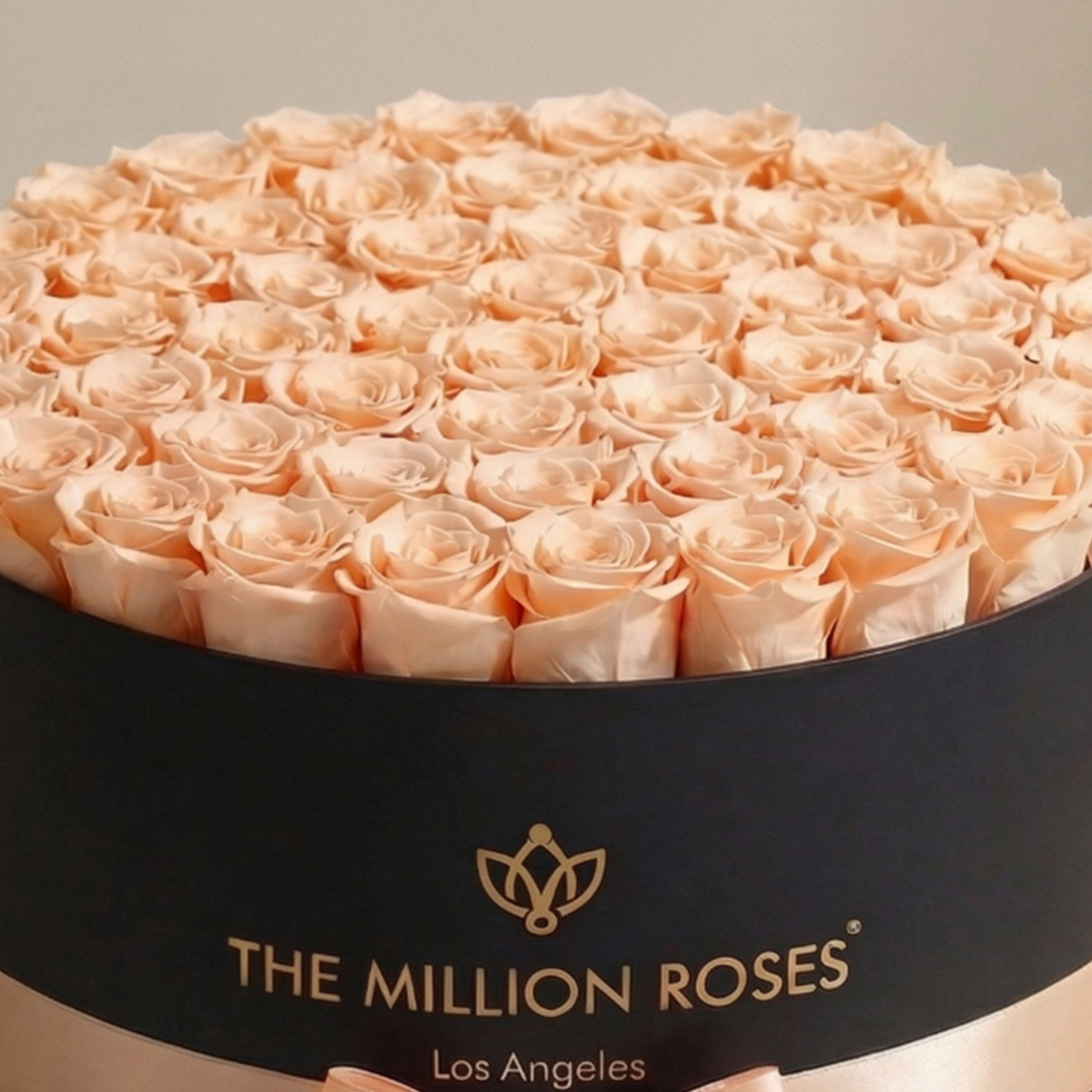Deluxe Black Box | Peach Roses