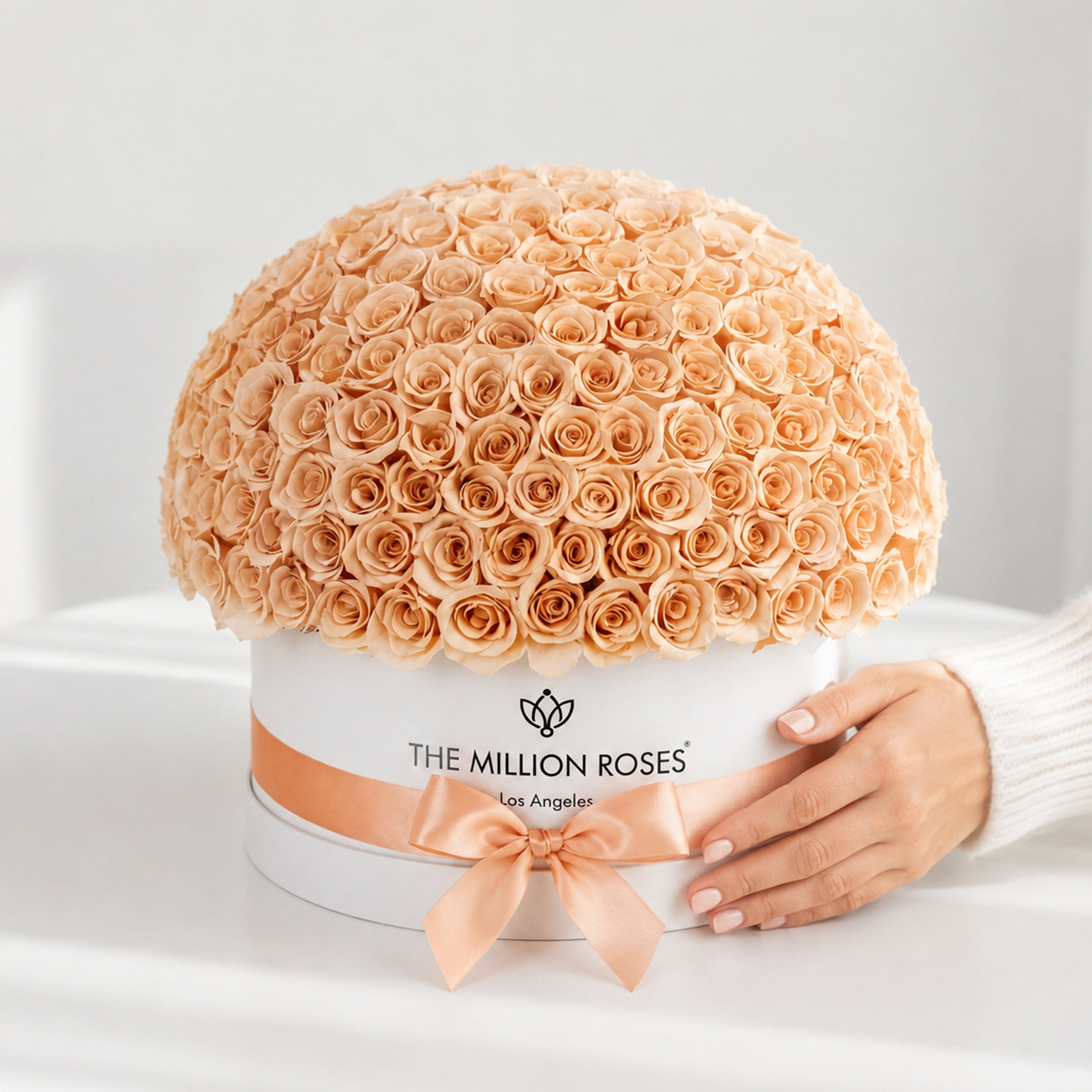 Deluxe White Dome Box | Peach Roses