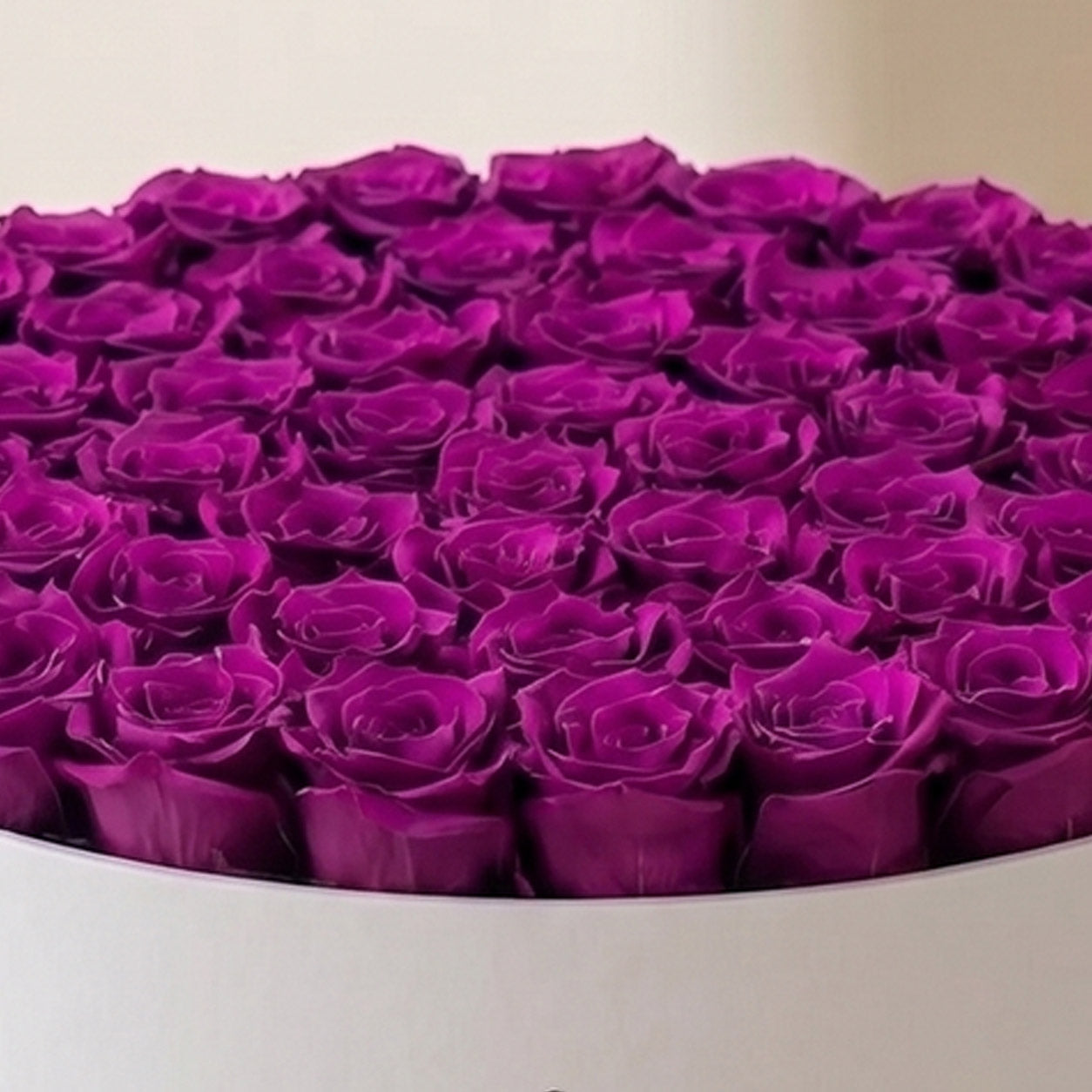 Deluxe White Box | Bright Purple Roses
