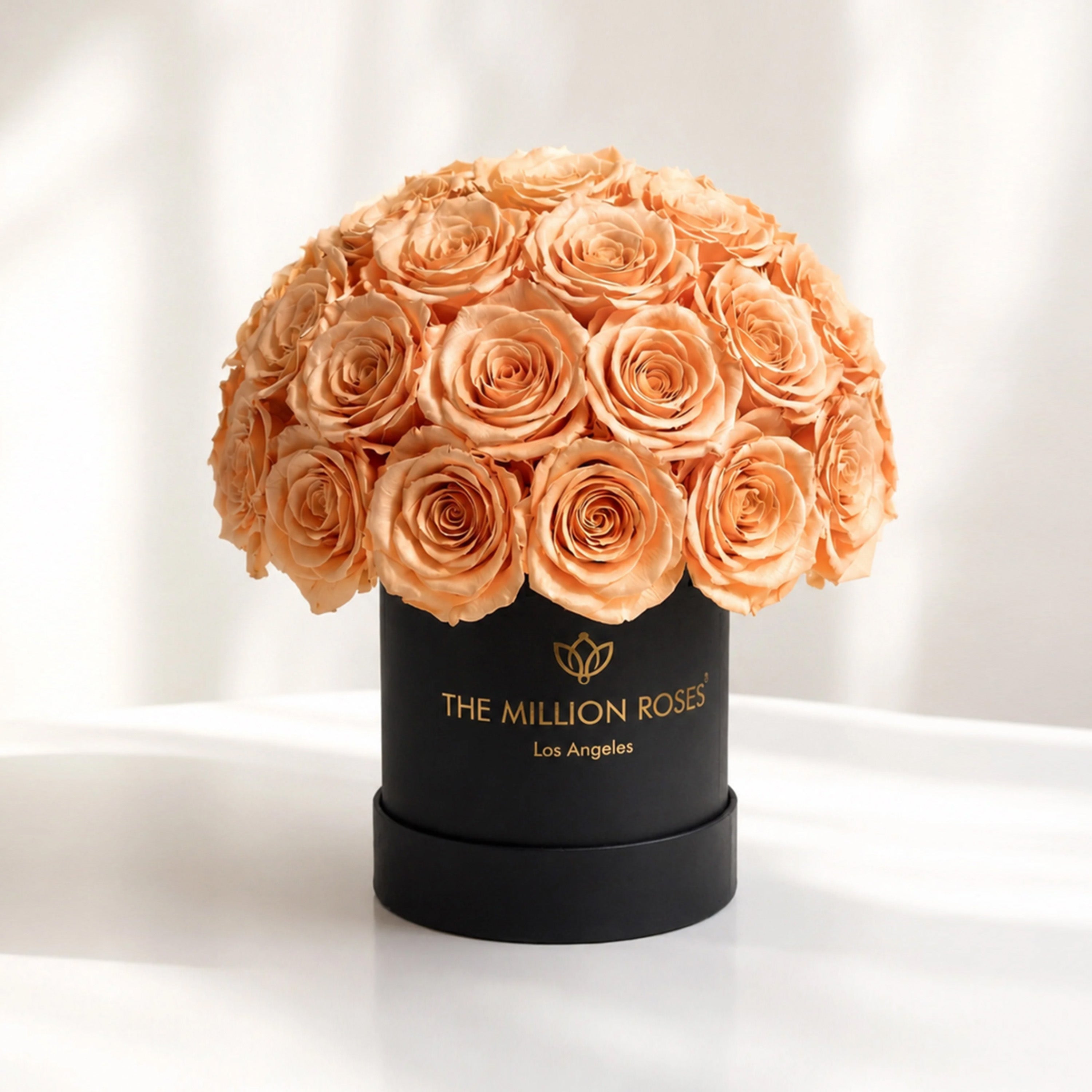 Essence Black Superdome Box | Peach Roses
