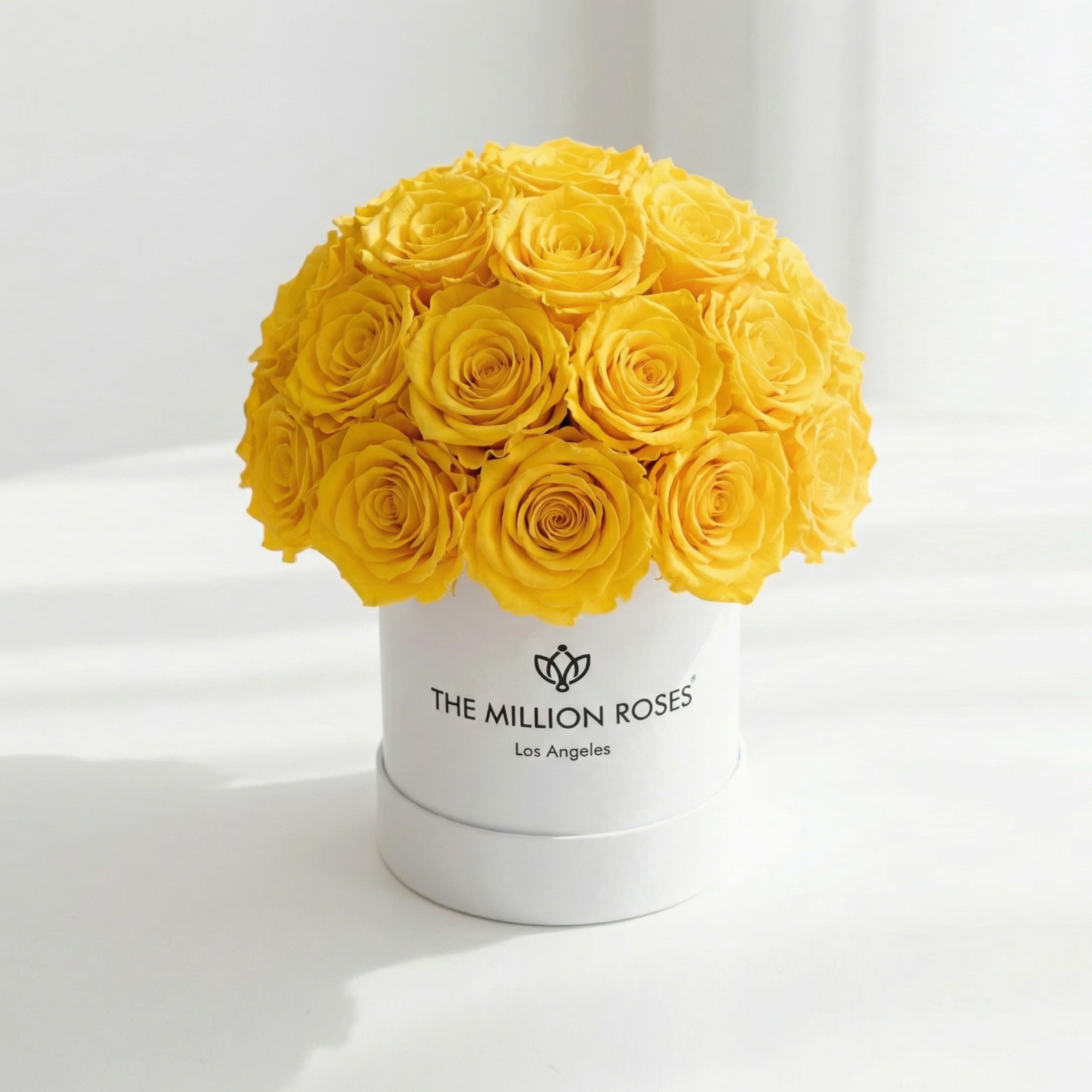 Essence White Superdome Box | Yellow Roses
