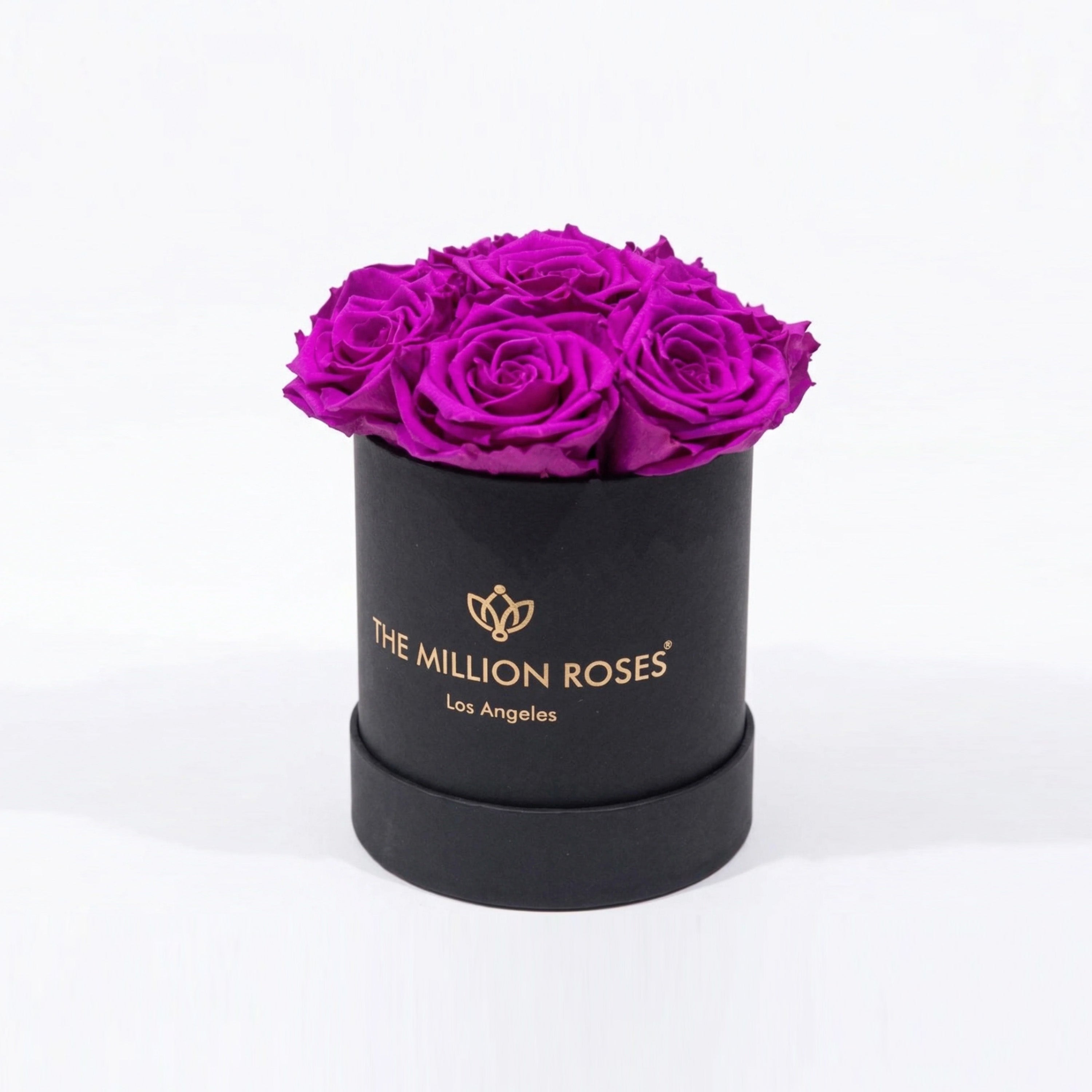 Essence Black Box | Bright Purple Roses