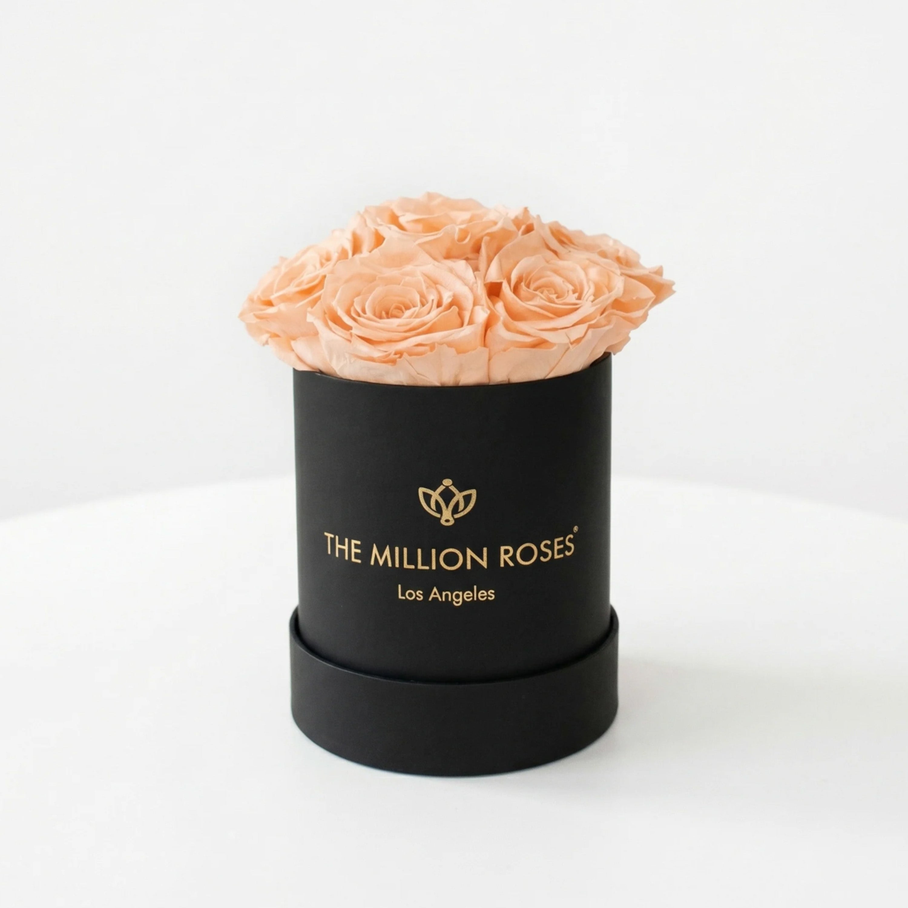Essence Black Box | Peach Roses