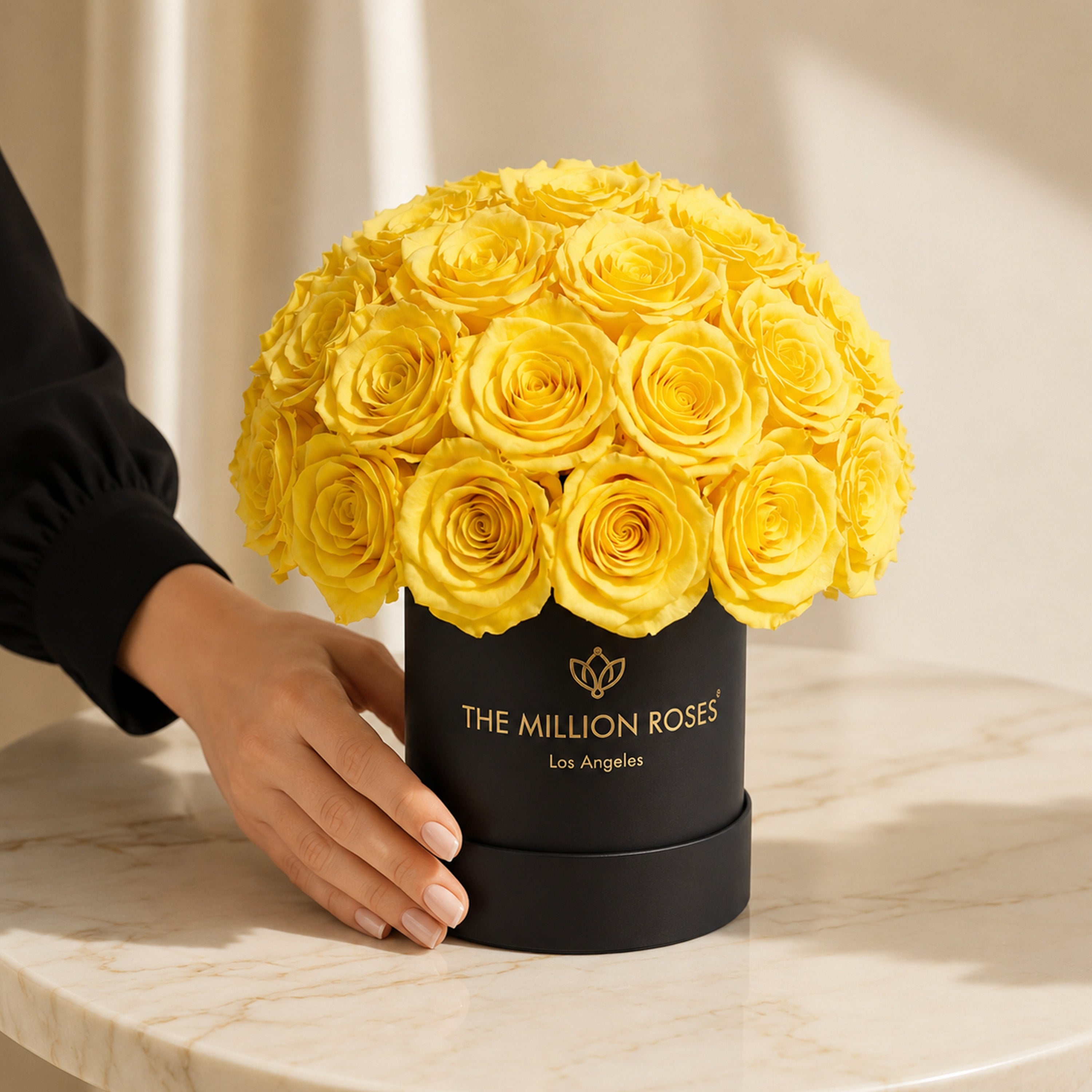 Essence Black Superdome Box | Yellow Roses
