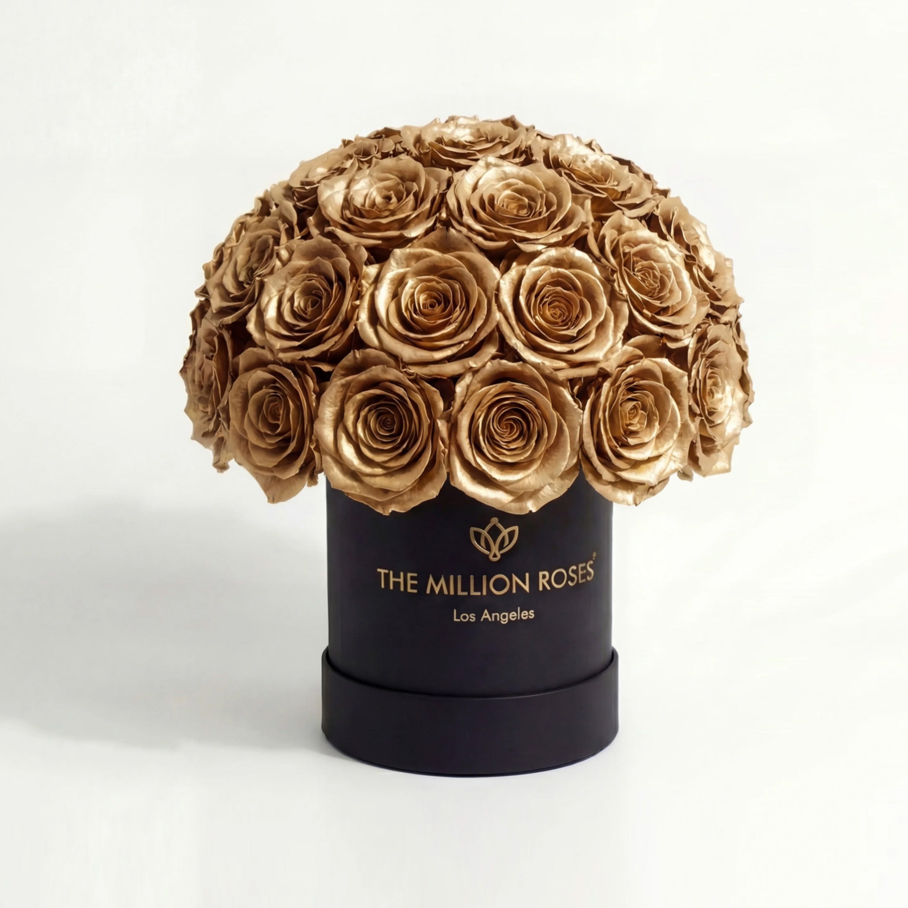 Essence Black Superdome Box | Gold Roses