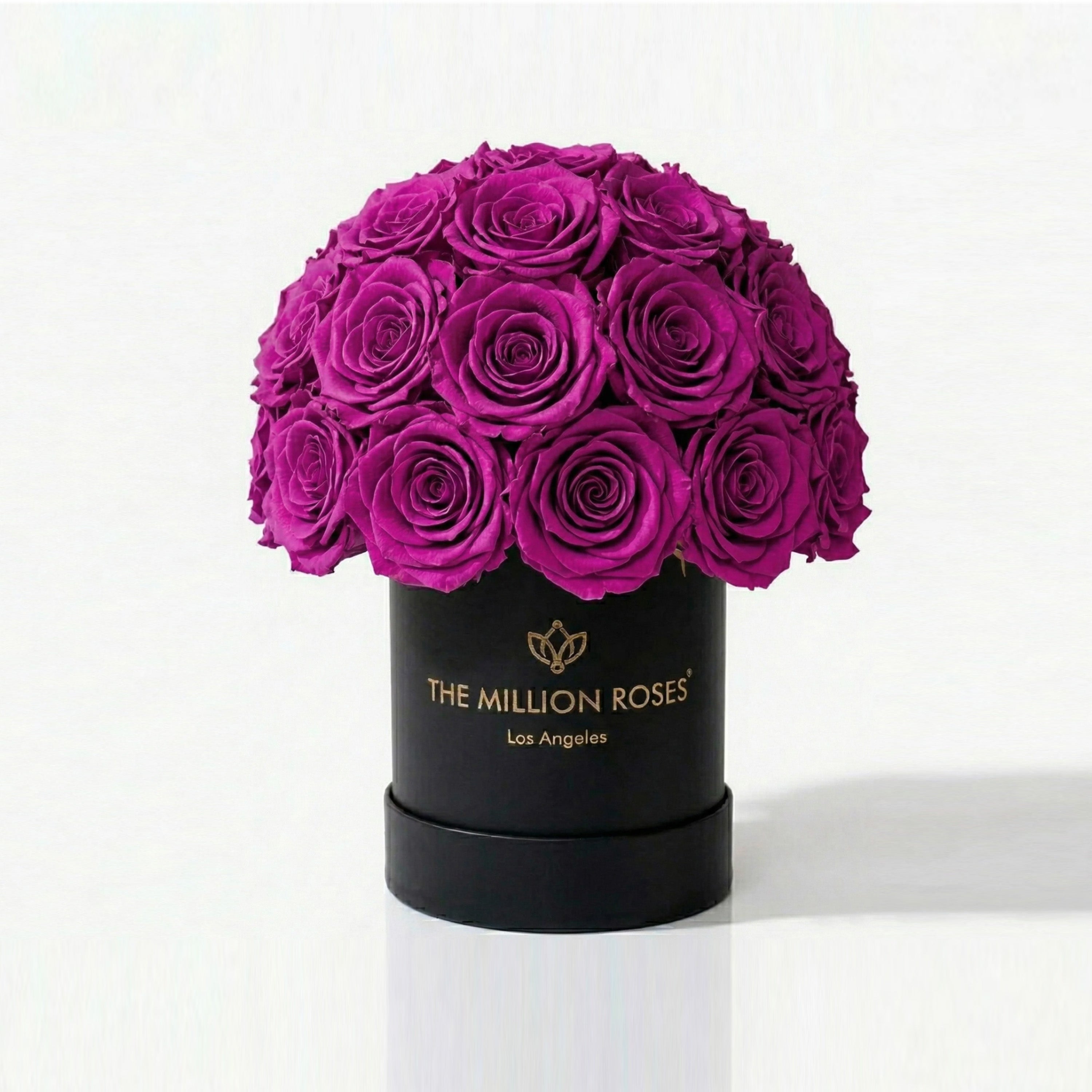 Essence Black Superdome Box | Bright Purple Roses