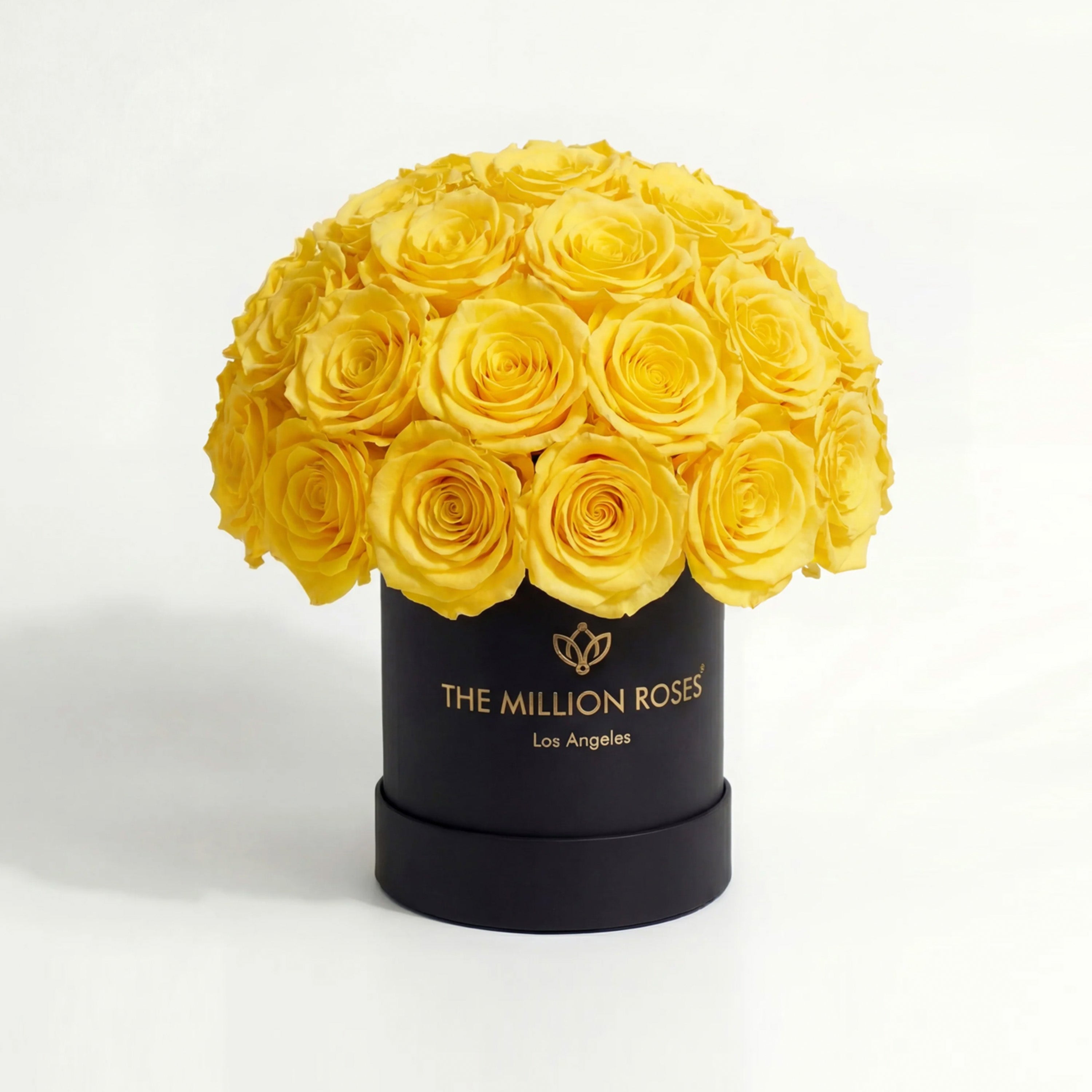 Essence Black Superdome Box | Yellow Roses