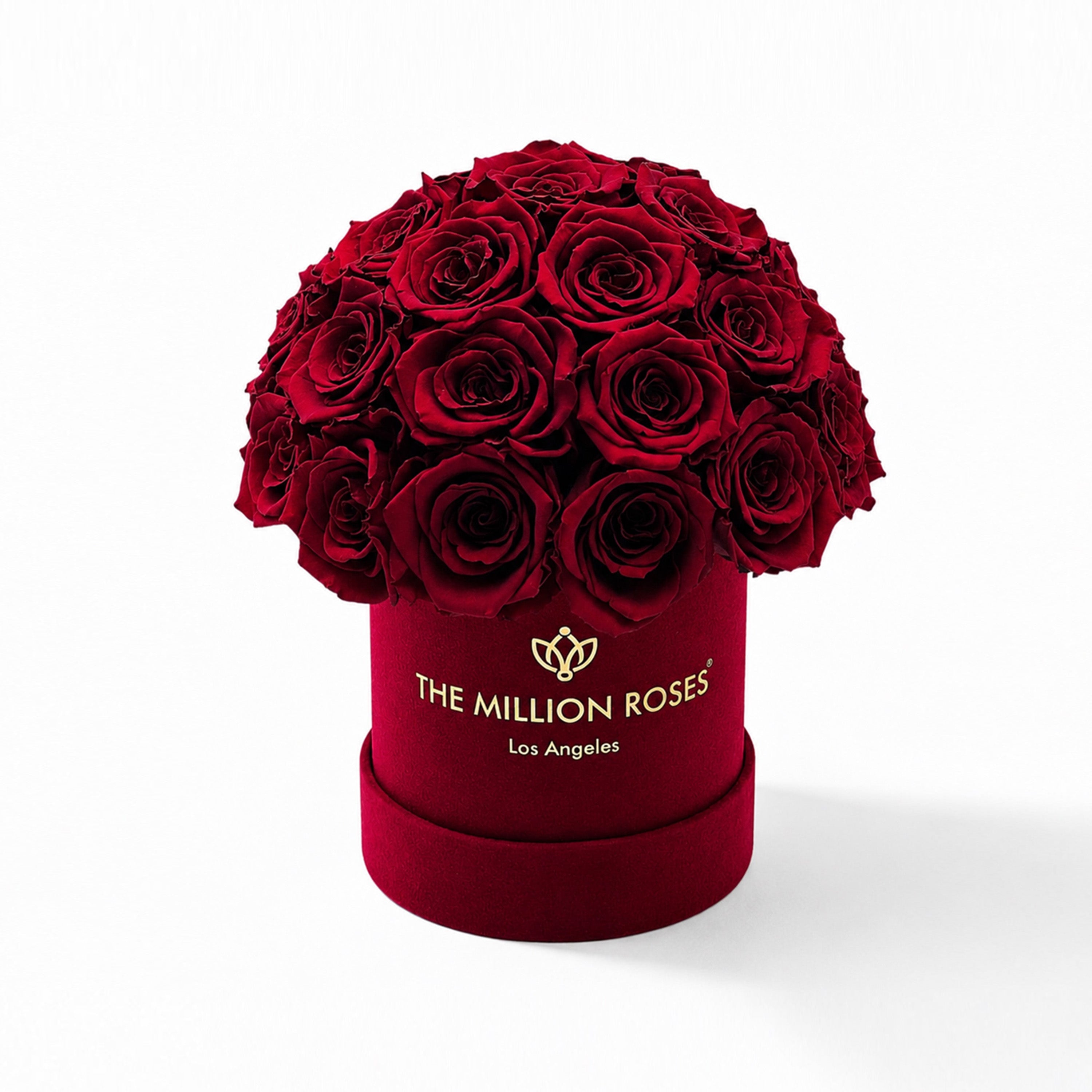 Essence Bordeaux Suede Superdome Box | Burgundy Roses