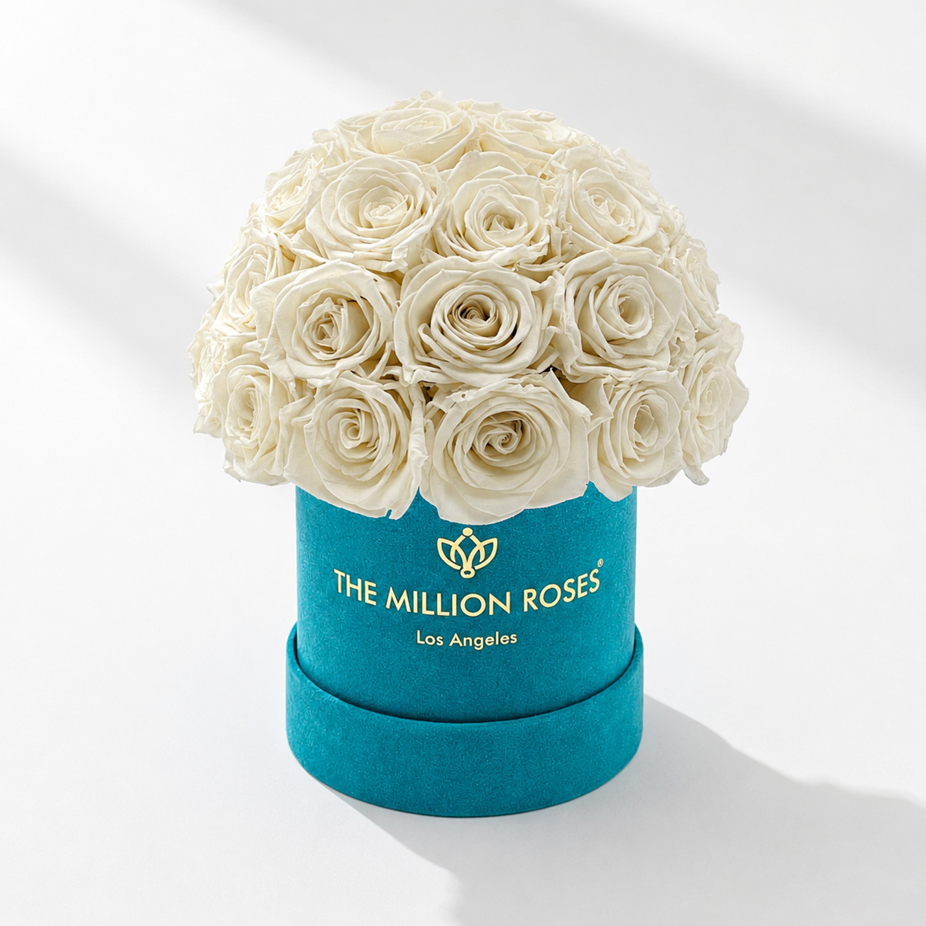 Essence Dark Green Suede Superdome Box | White Roses