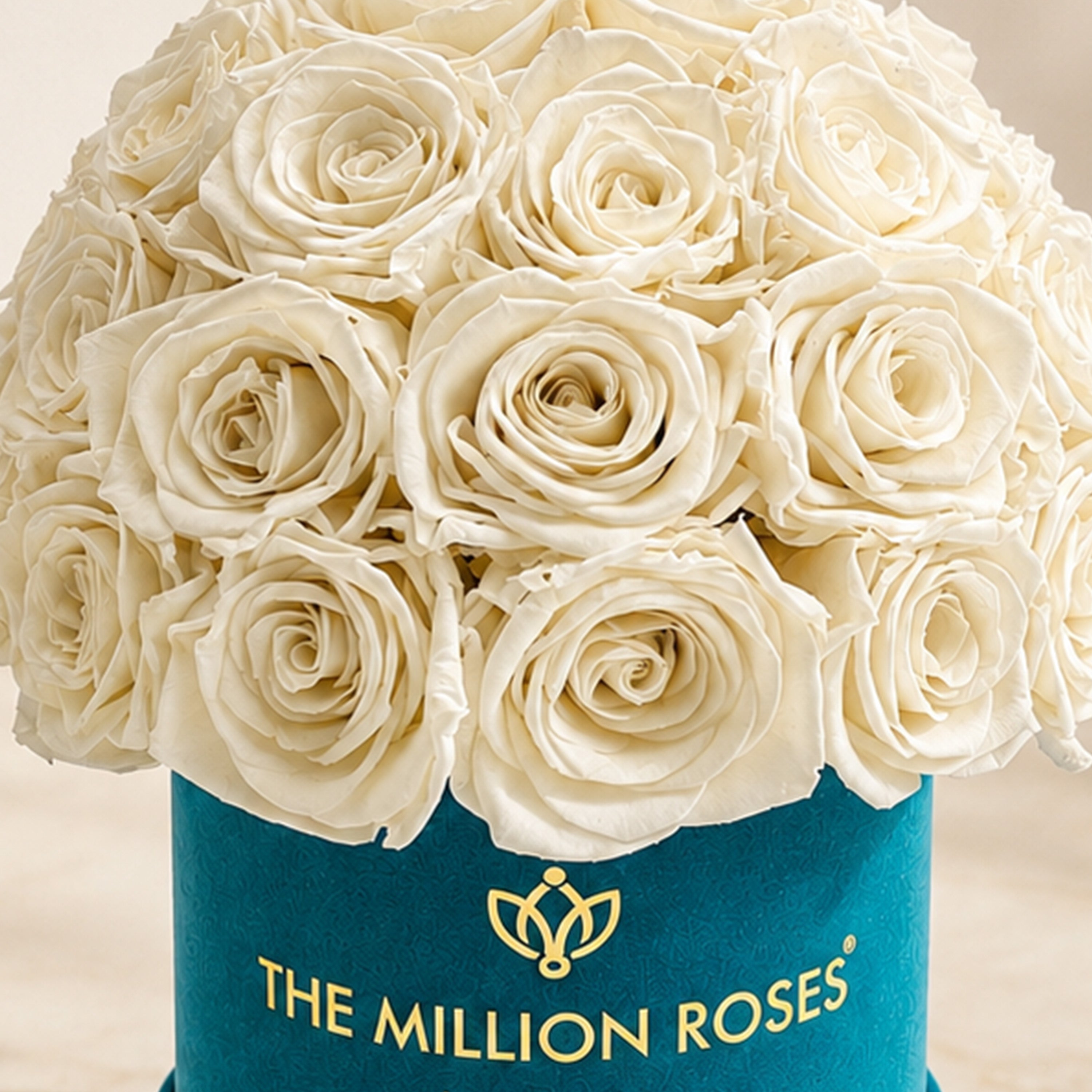 Essence Dark Green Suede Superdome Box | White Roses