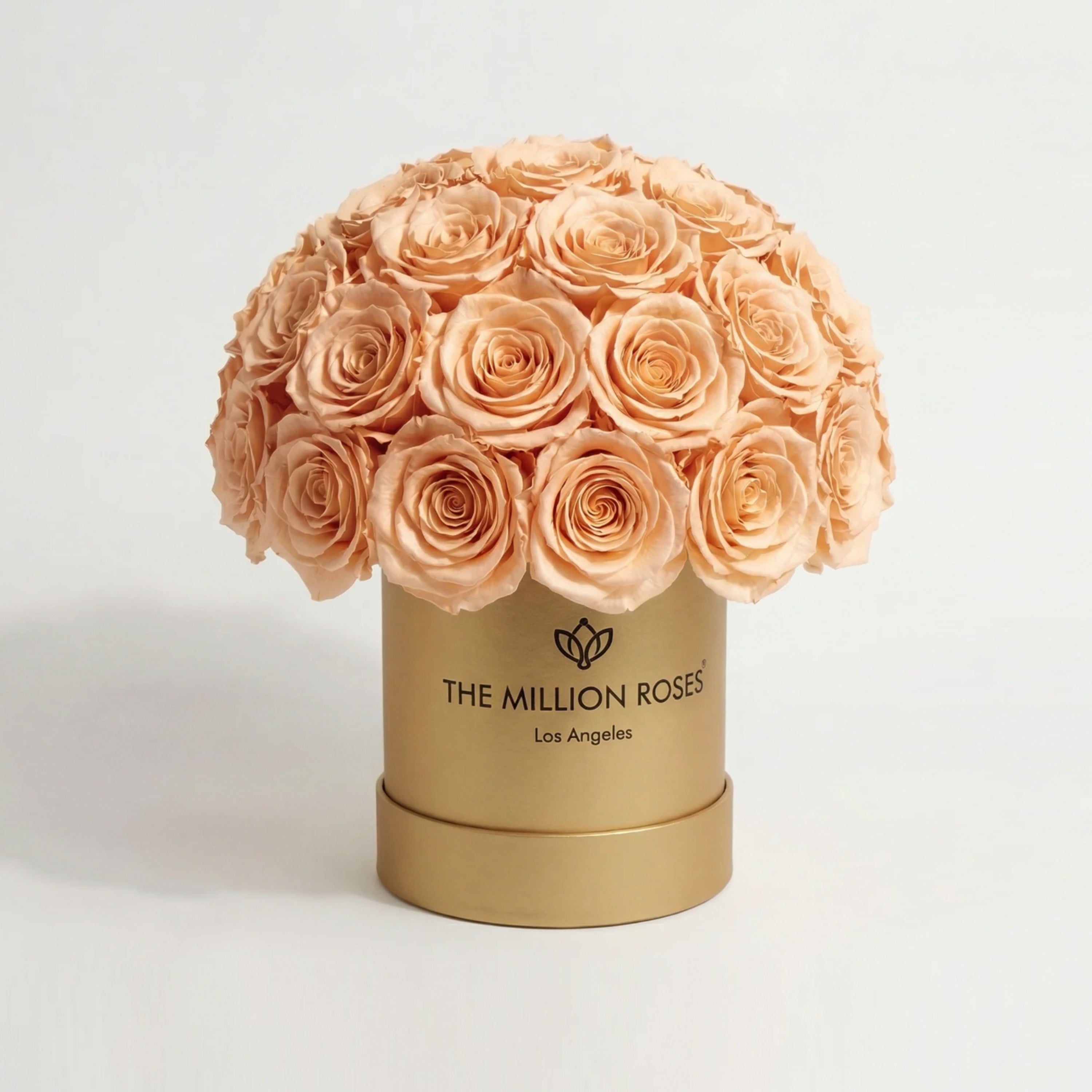 Essence Gold Superdome Box | Peach Roses