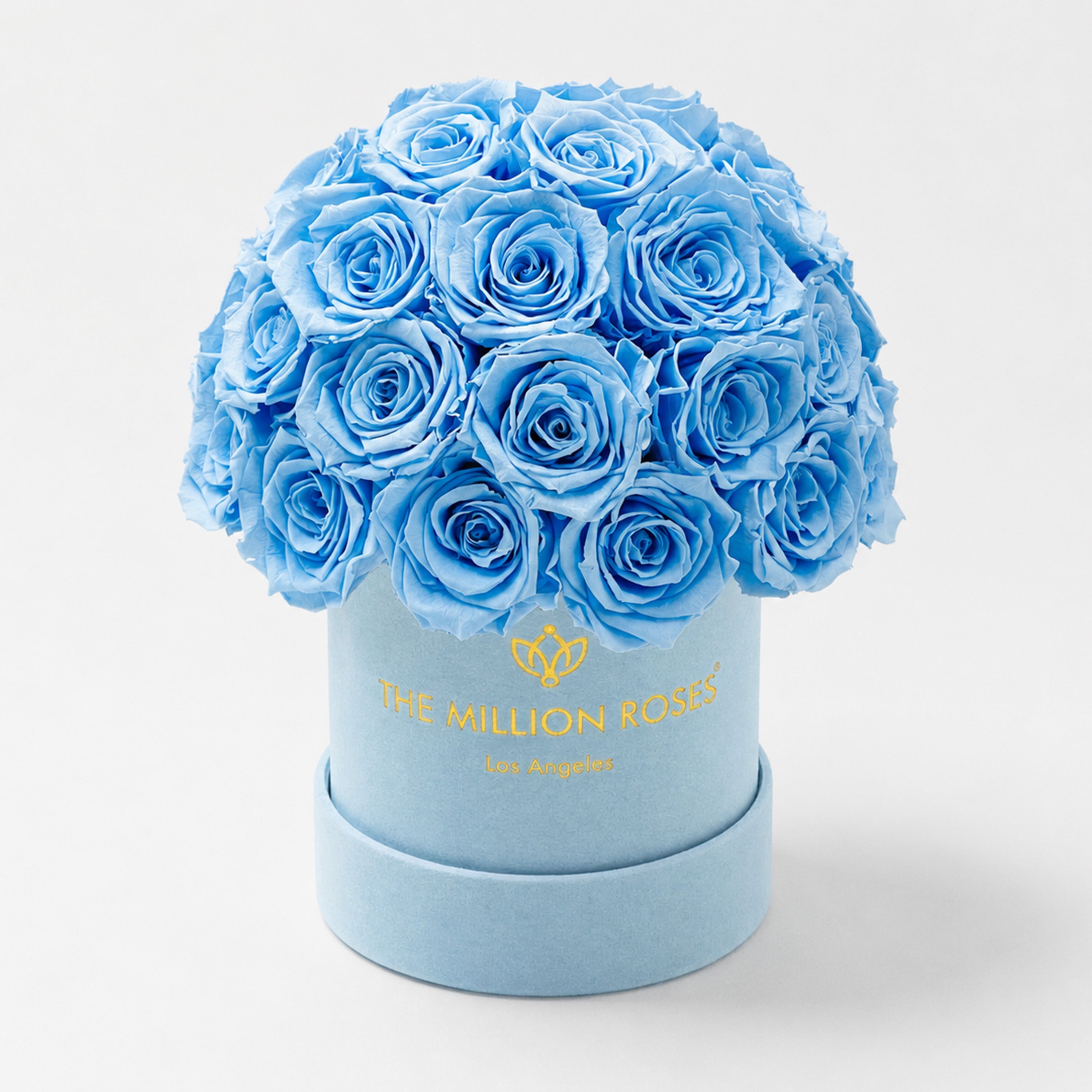 Essence Light Blue Suede Superdome Box | Light Blue Roses