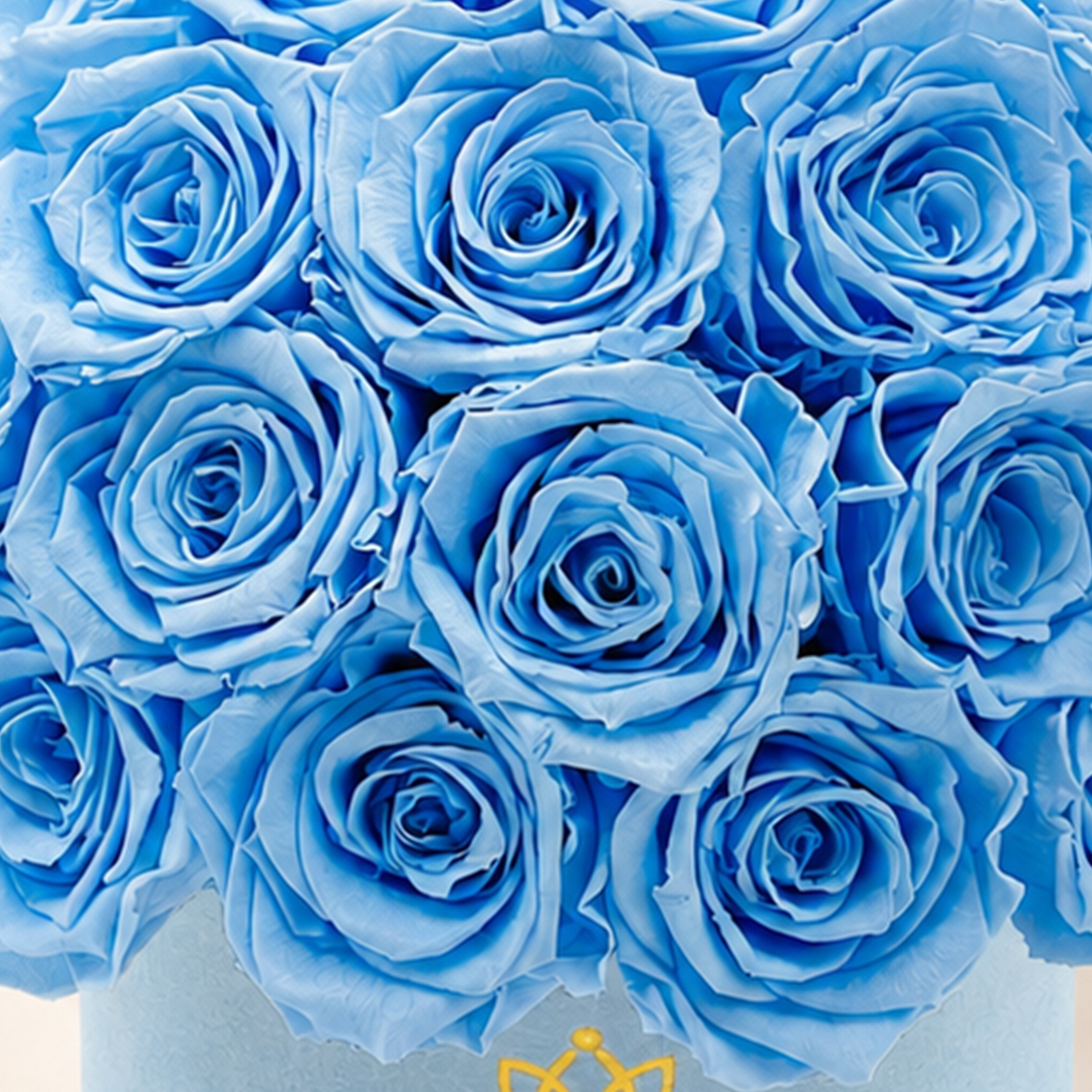 Essence Light Blue Suede Superdome Box | Light Blue Roses