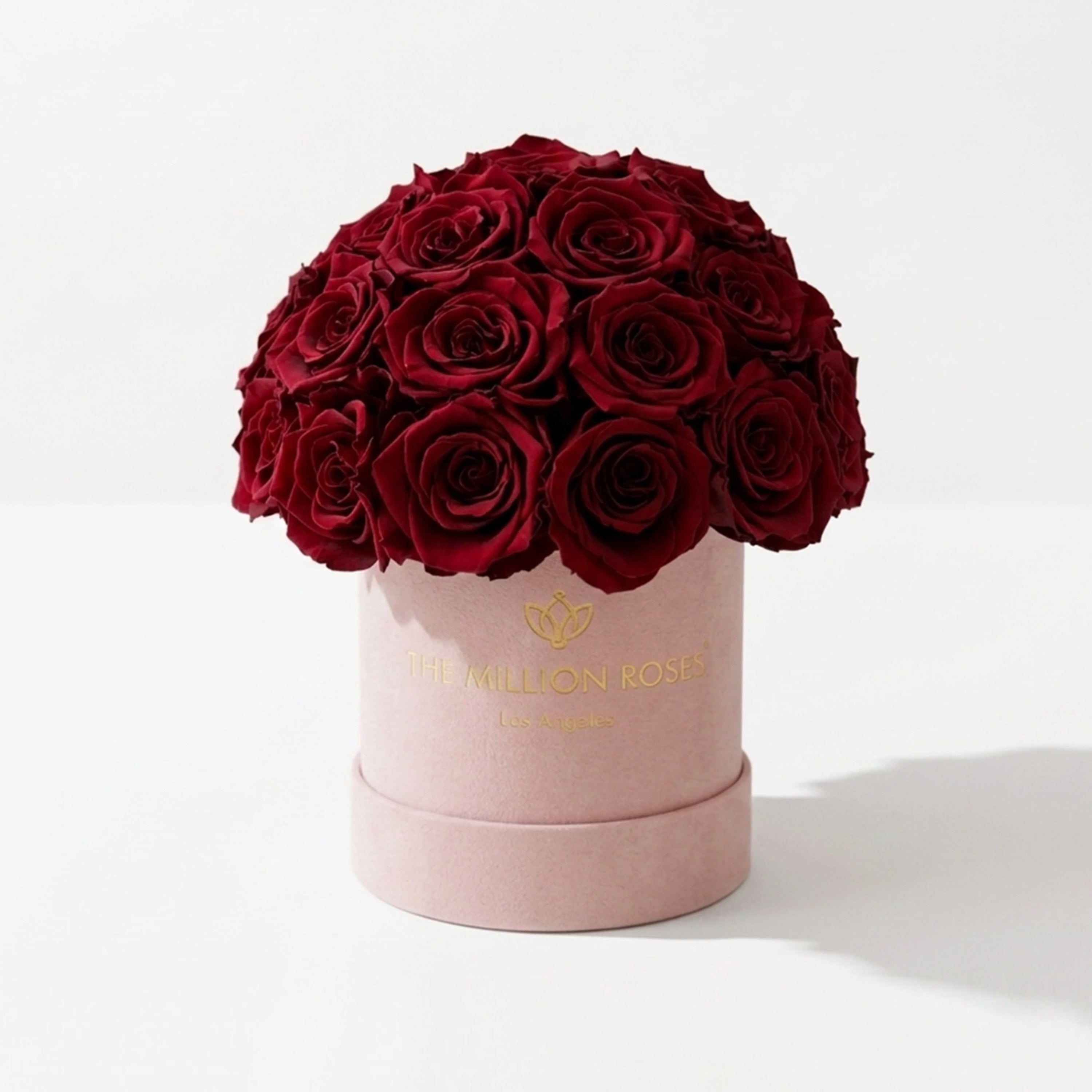 Essence Light Pink Suede Superdome Box | Burgundy Roses