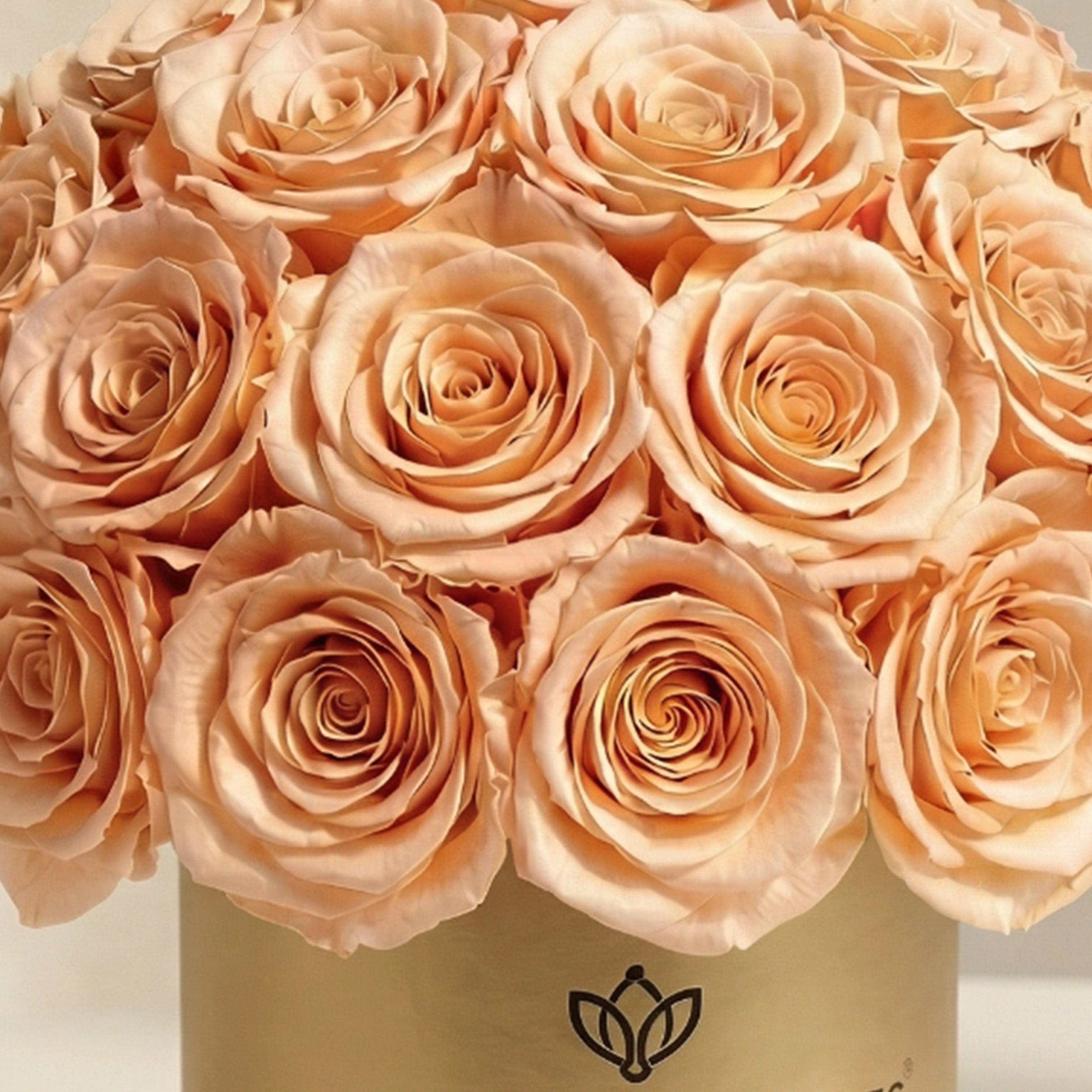 Essence Gold Superdome Box | Peach Roses
