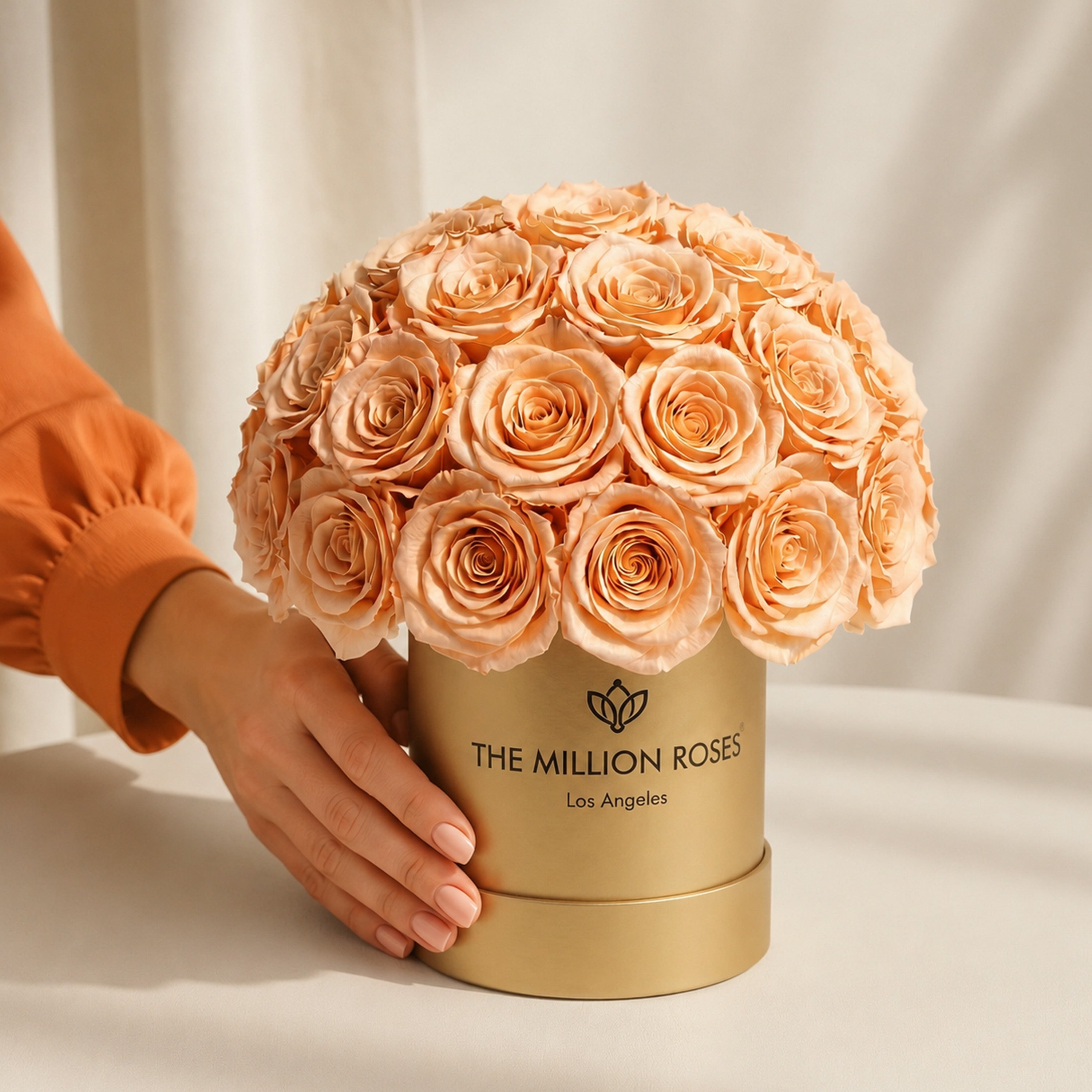 Essence Gold Superdome Box | Peach Roses
