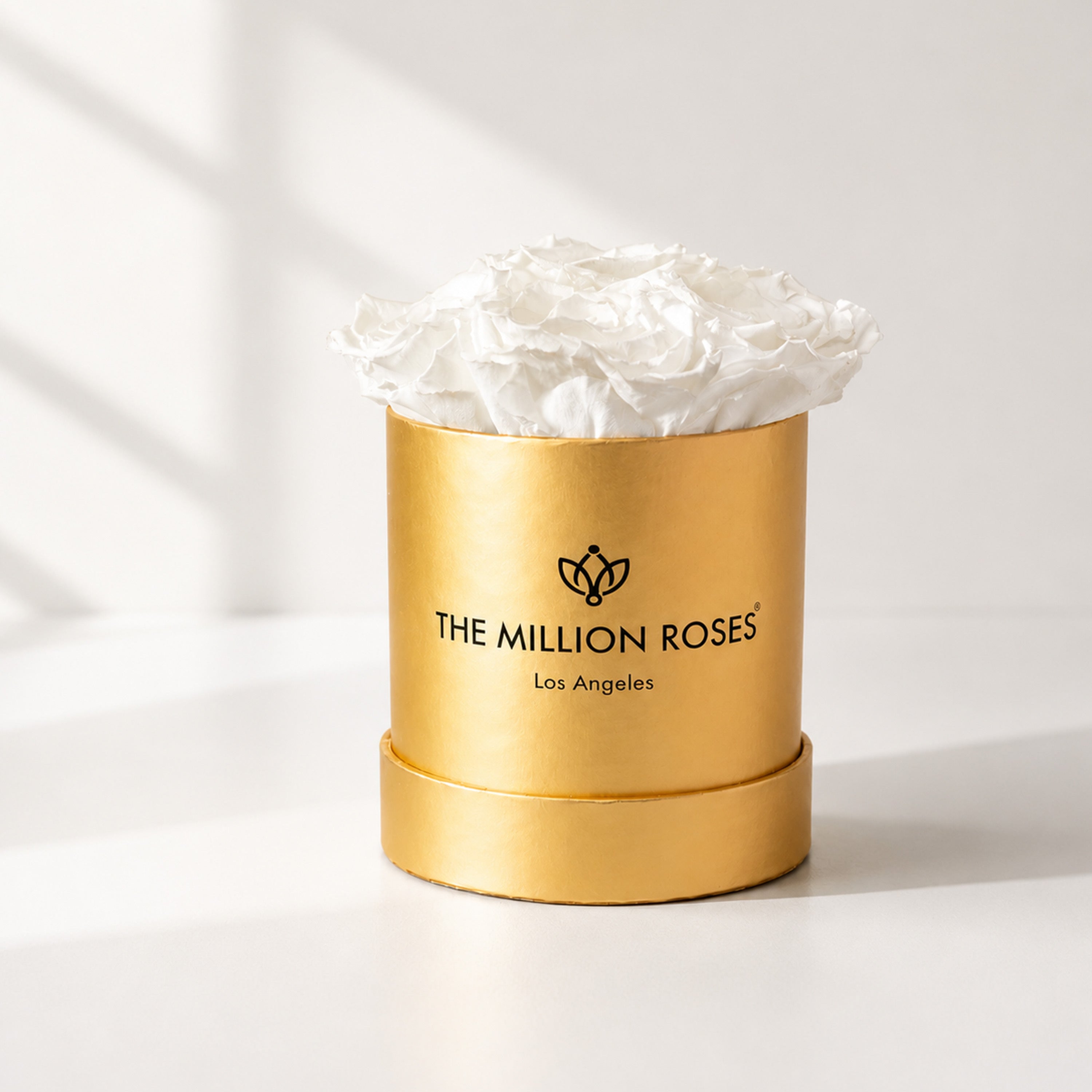 Essence Gold Box | White Roses