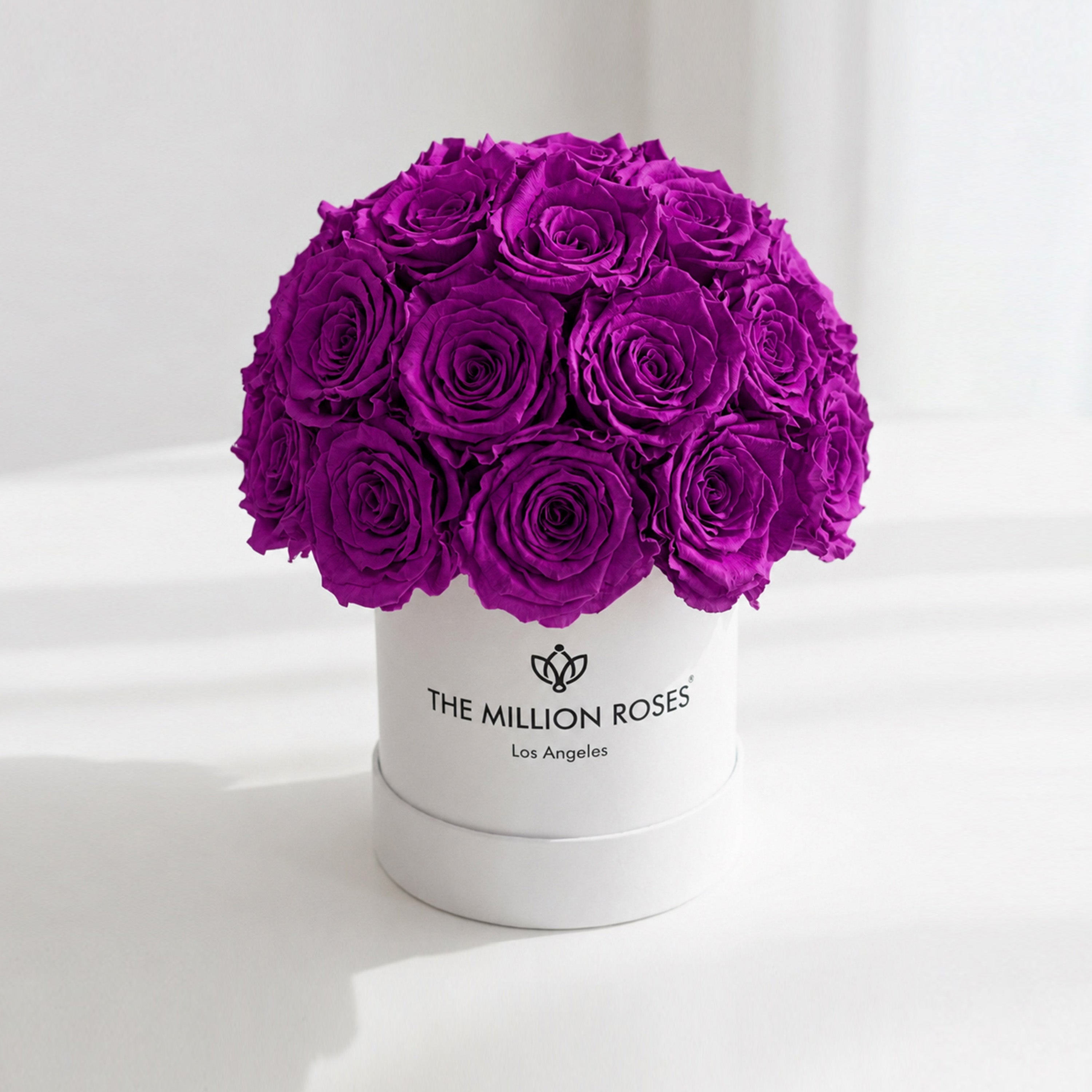 Essence White Superdome Box | Bright Purple Roses