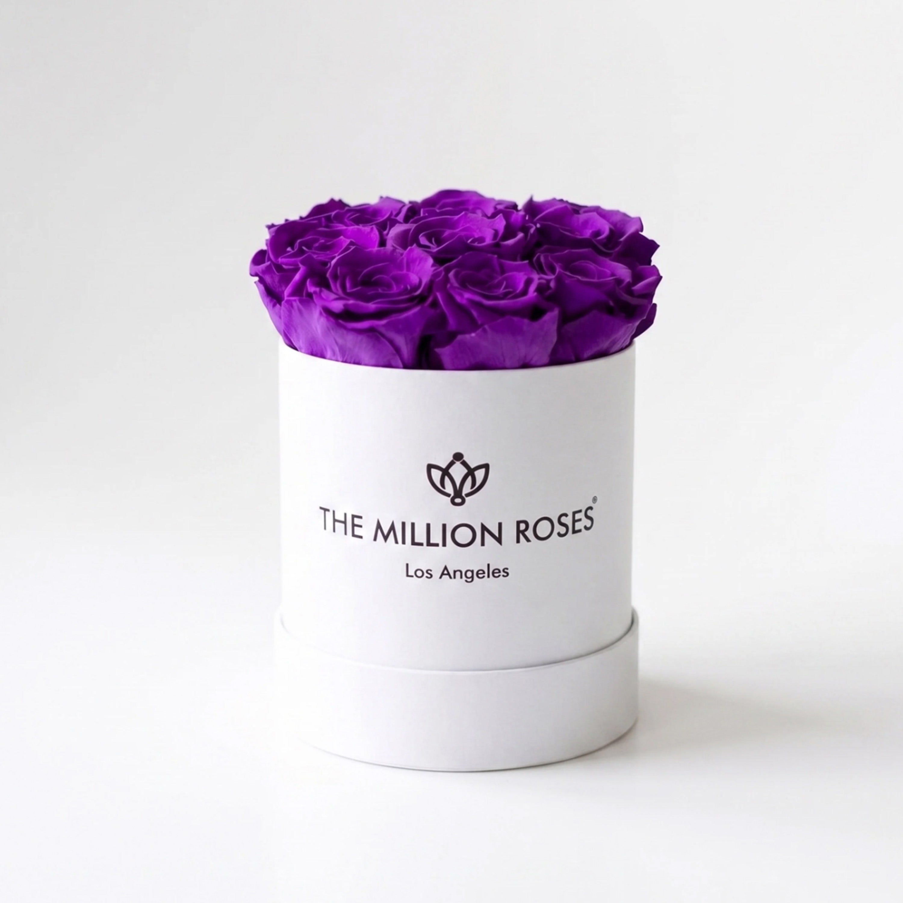 Essence White Box | Bright Purple Roses