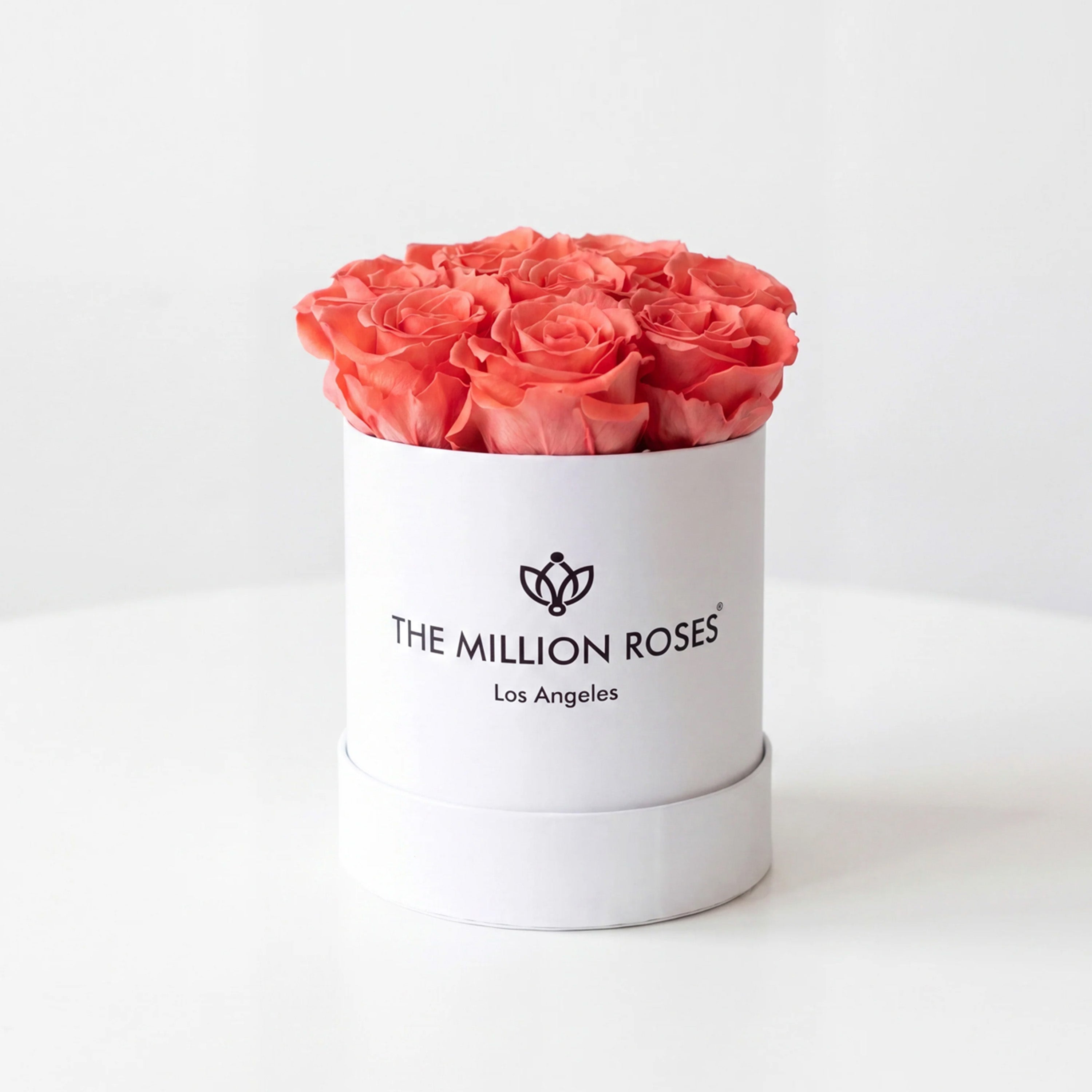 Essence White Box | Coral Roses