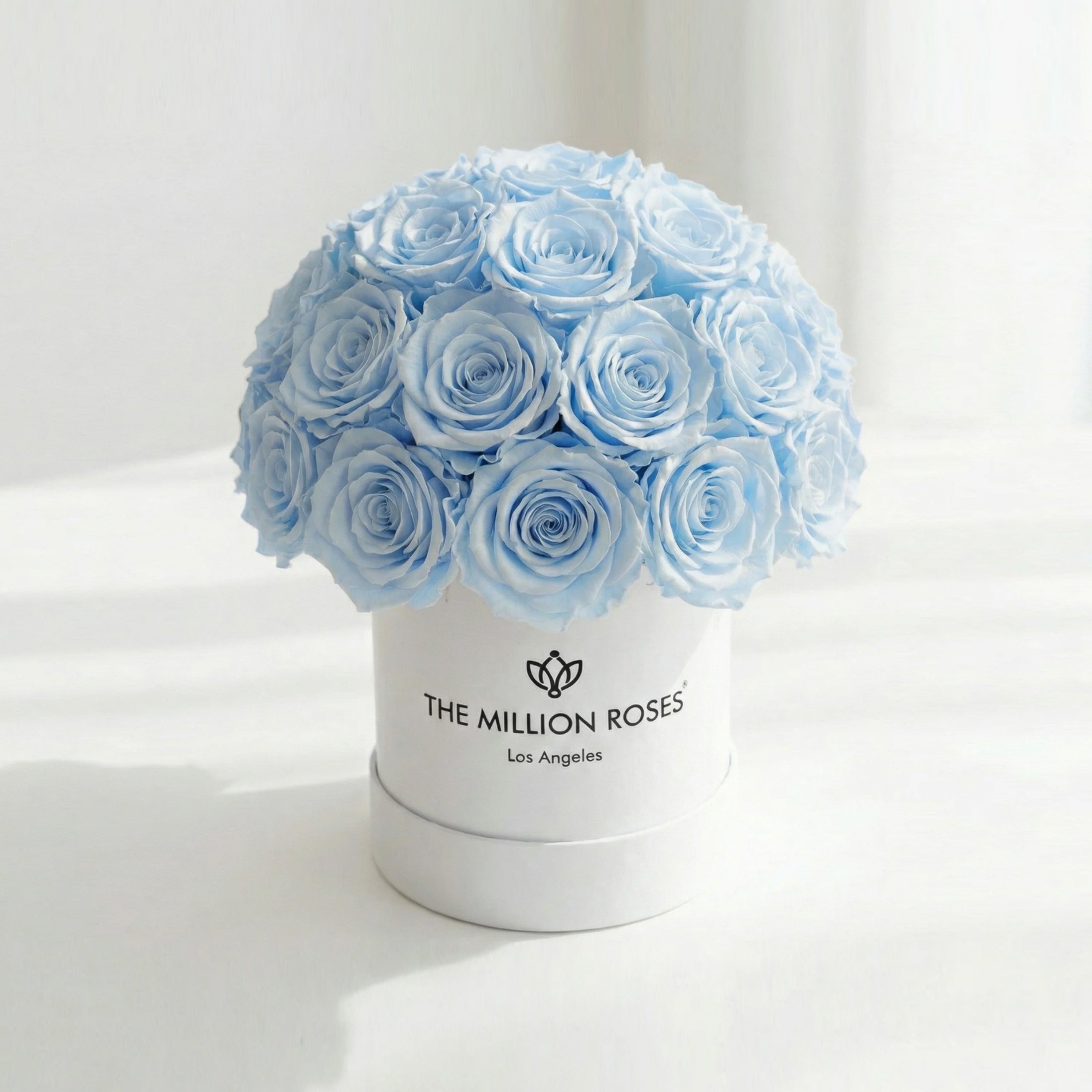 Essence White Superdome Box | Light Blue Roses