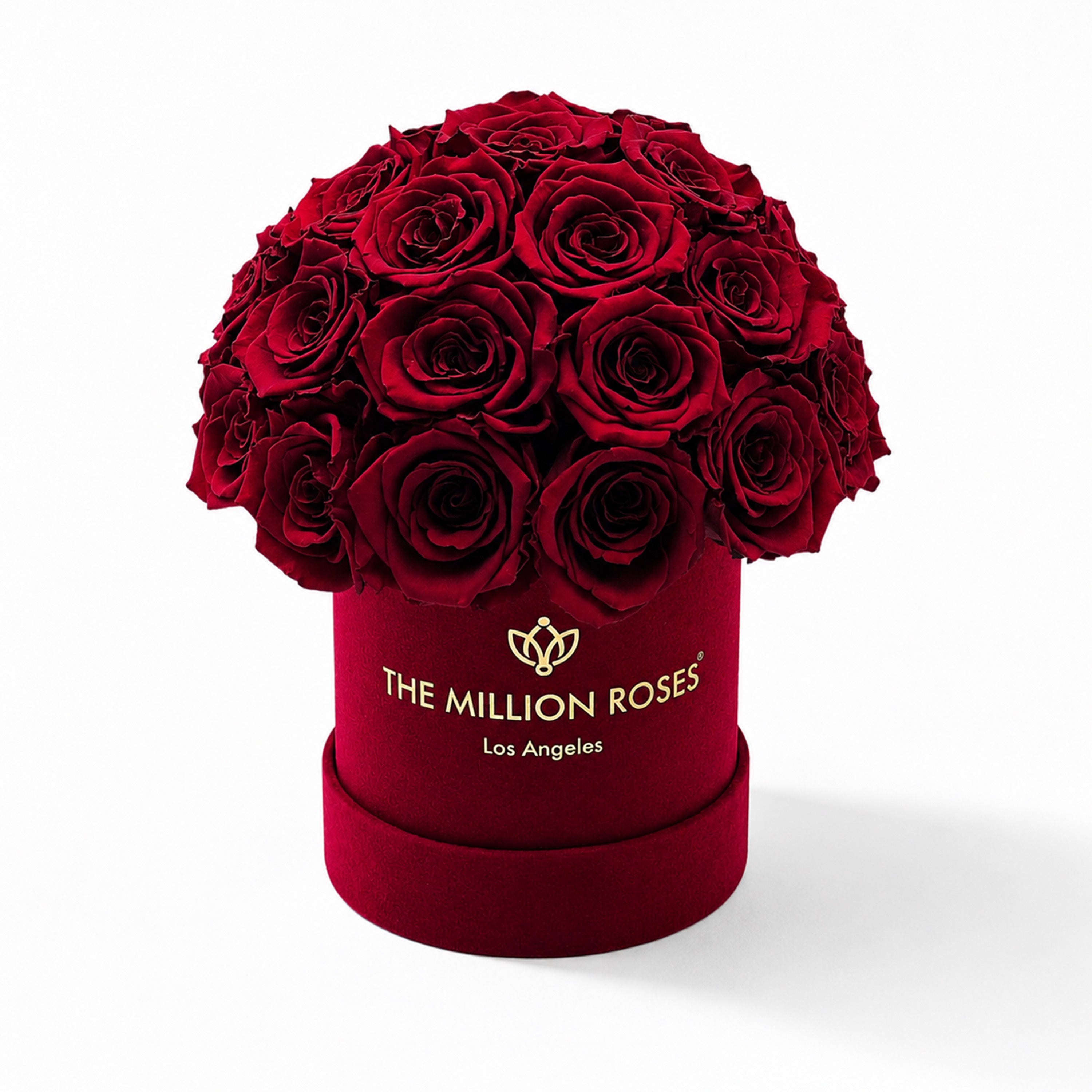 Essence Bordeaux Suede Superdome Box | Burgundy Roses