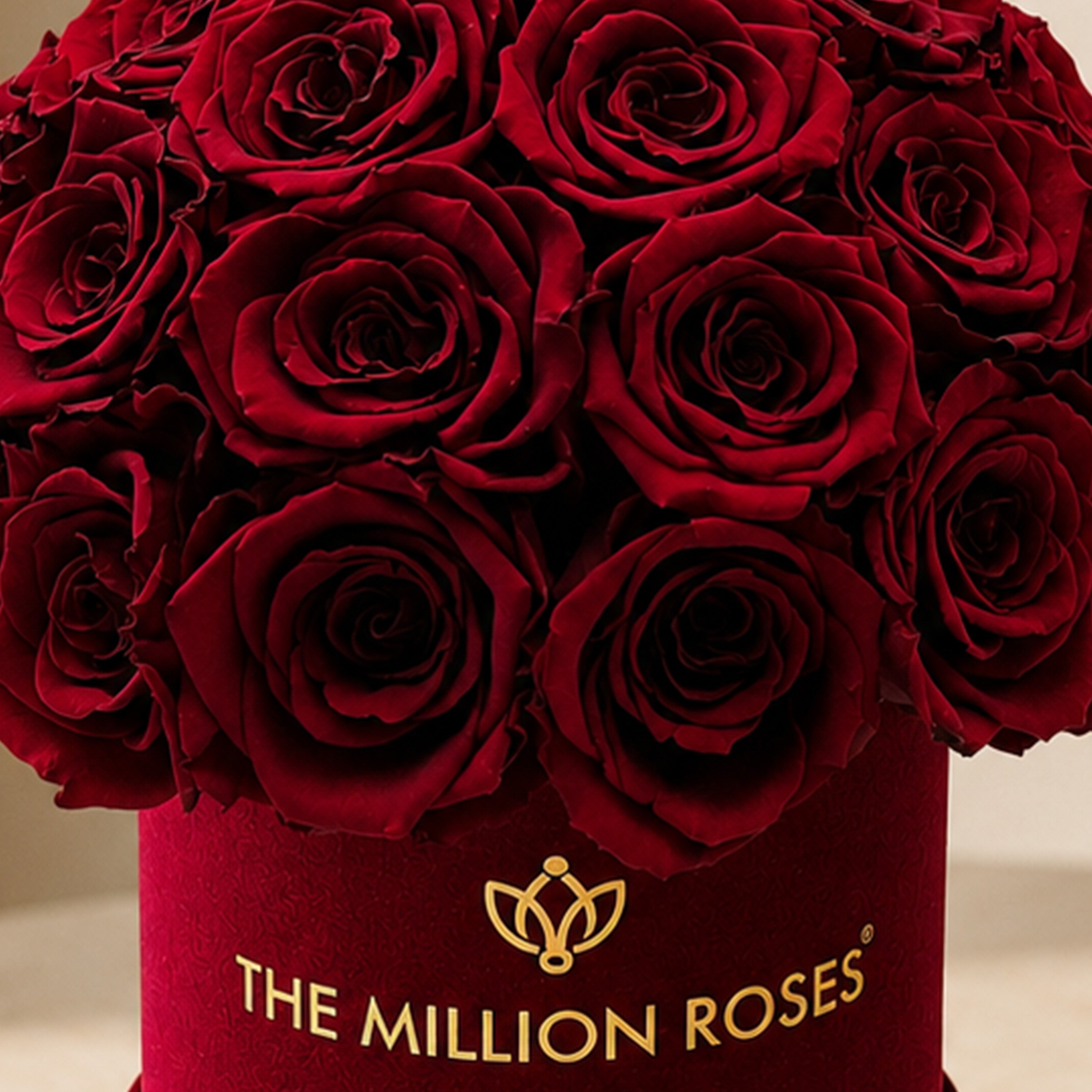 Essence Bordeaux Suede Superdome Box | Burgundy Roses