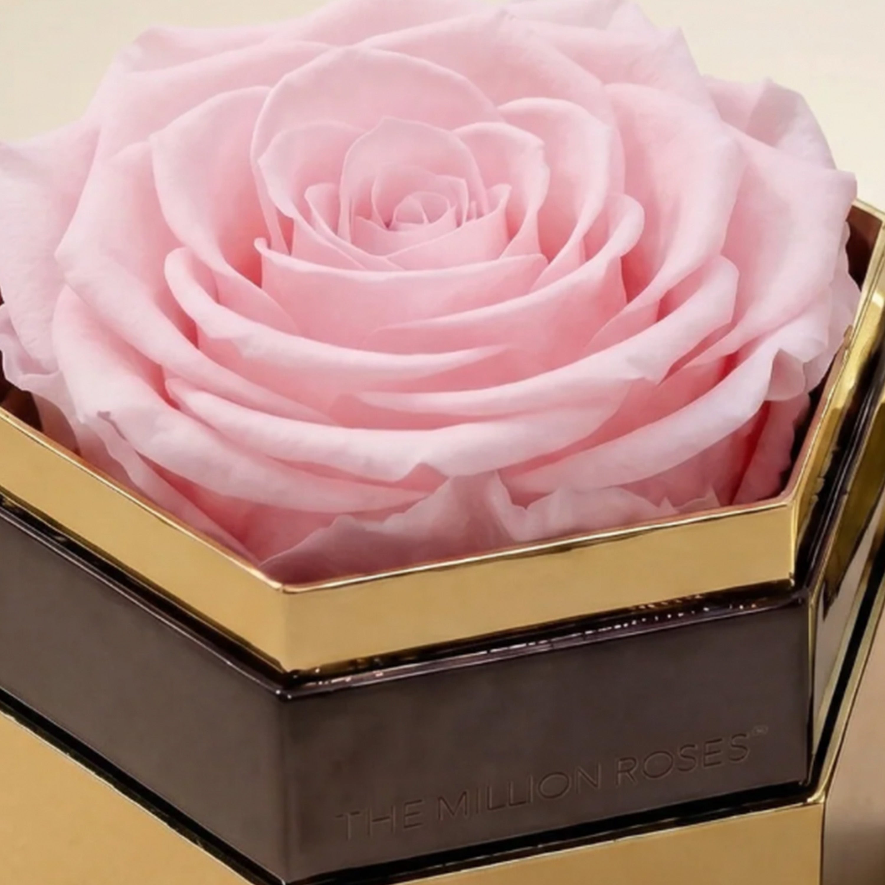 One in a Million™ Mirror Gold Hexagon Box | Light Pink Rose