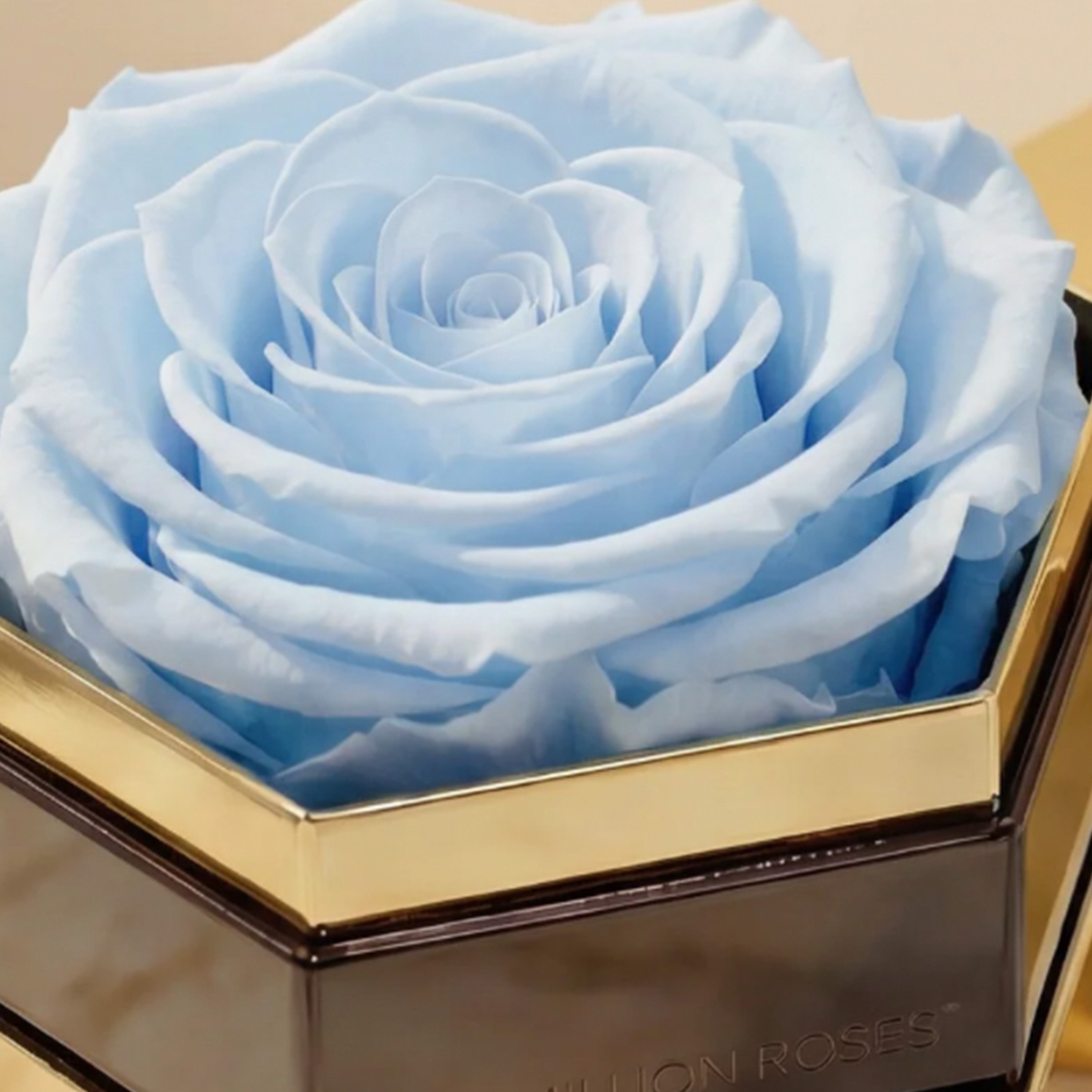 One in a Million™ Mirror Gold Hexagon Box | Light Blue Rose