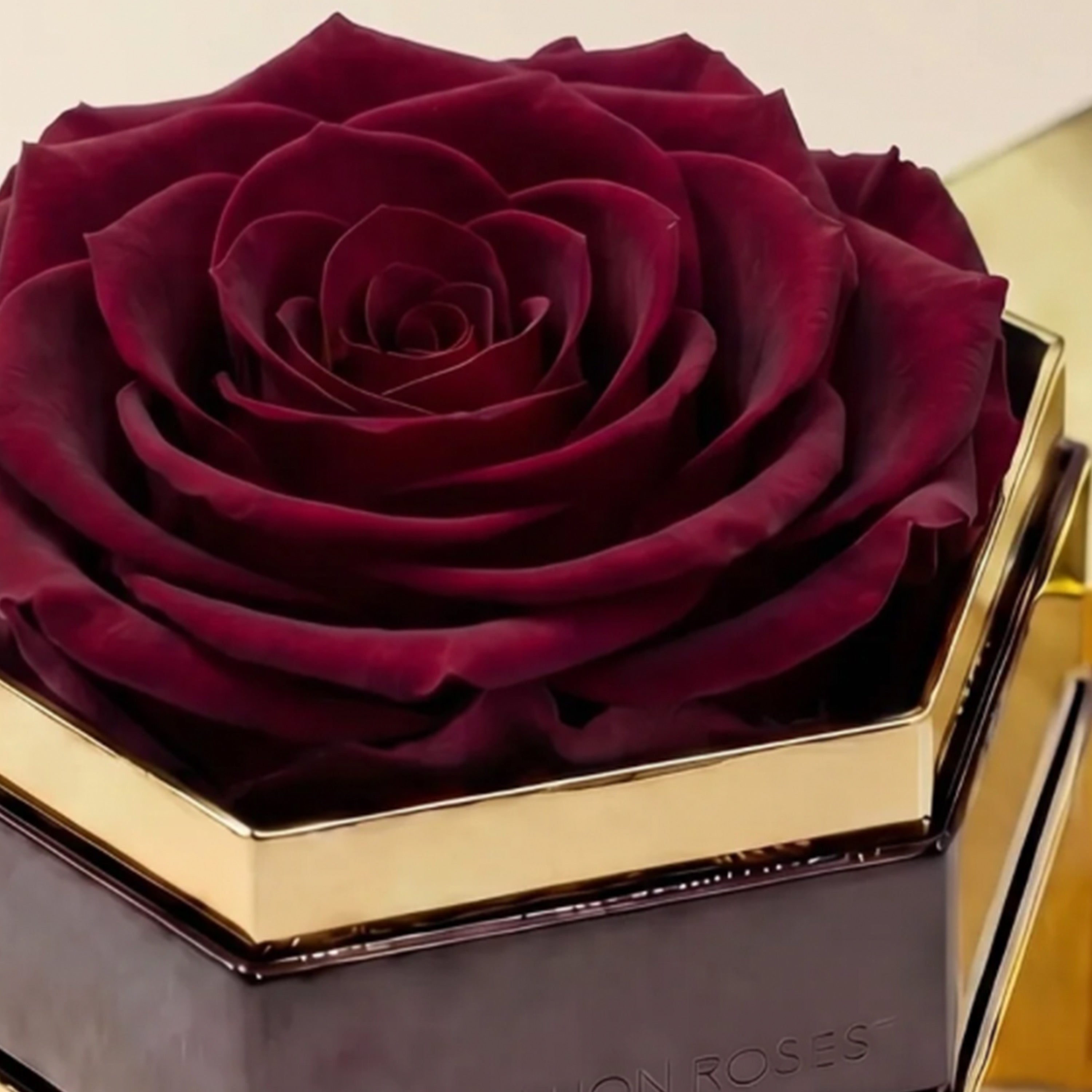 One in a Million™ Mirror Gold Hexagon Box | Burgundy Rose